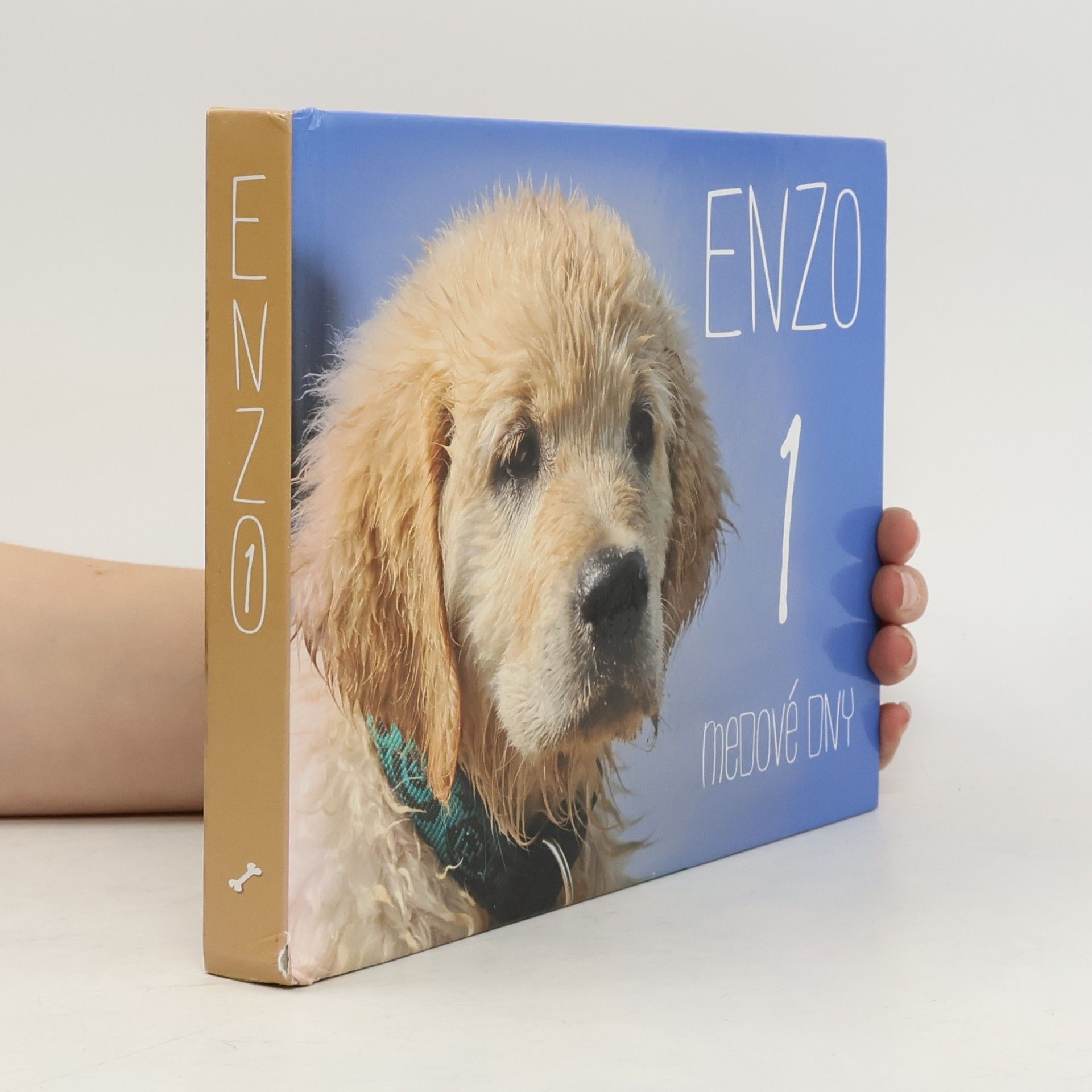 Enzo. 1, Medové dny: Deník moderního psa