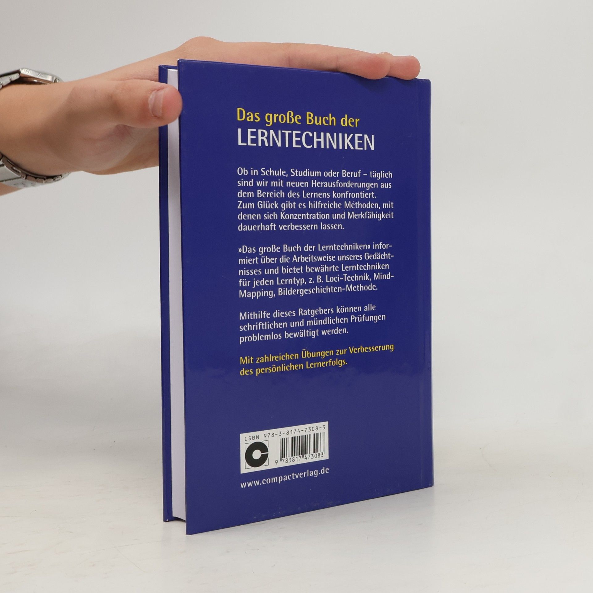 Bettina Geuenich Das große Buch der Lern-Techniken