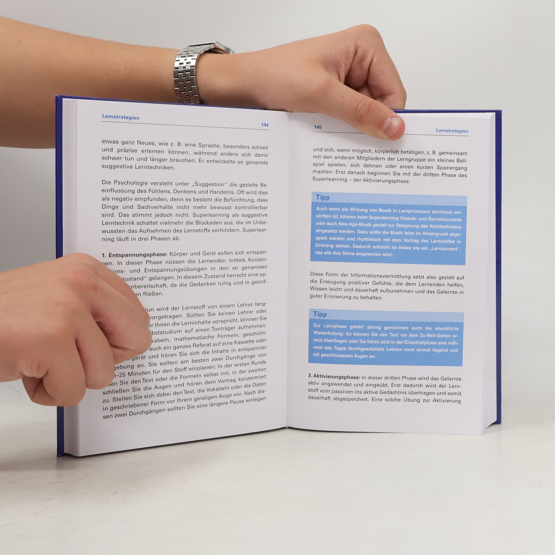 Bettina Geuenich Das große Buch der Lern-Techniken