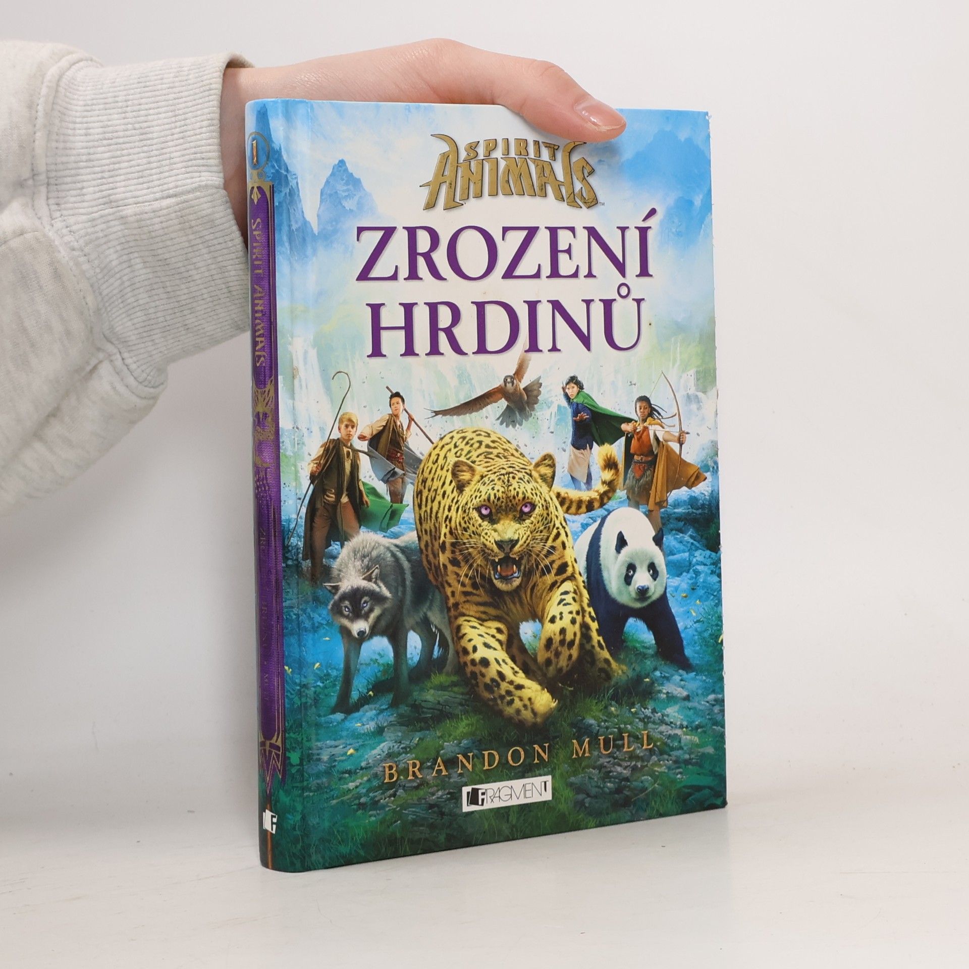 Brandon Mull Zrození hrdinů