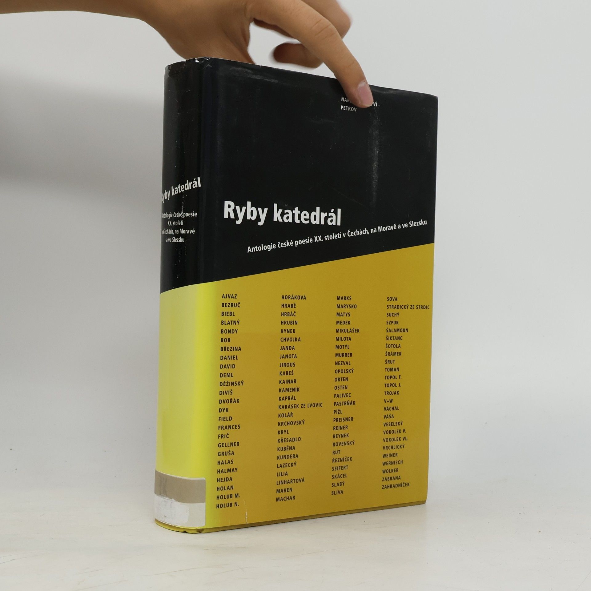 Kolektiv autorů Ryby katedrál. Antologie české poesie XX. století v Čechách, na Moravě a ve Slezsku