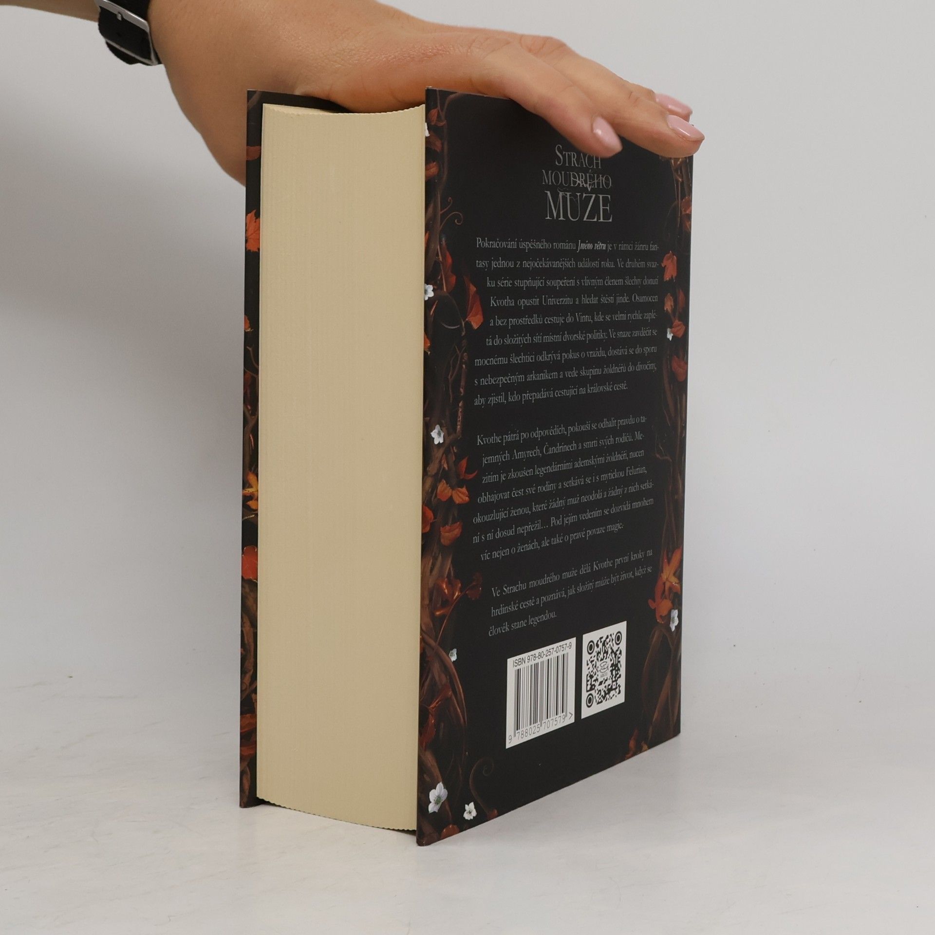 Patrick Rothfuss Strach moudrého muže