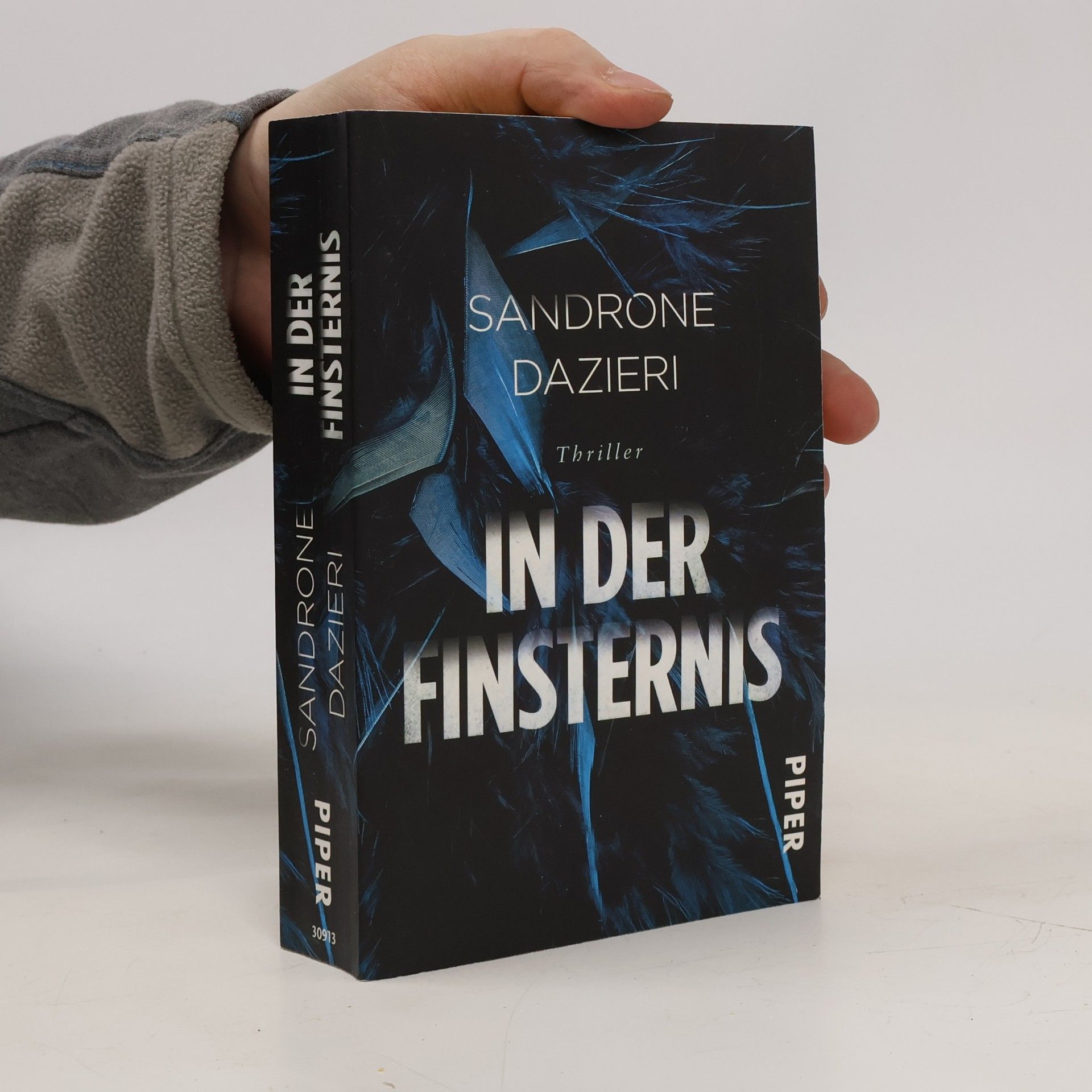 Sandrone Dazieri In der Finsternis