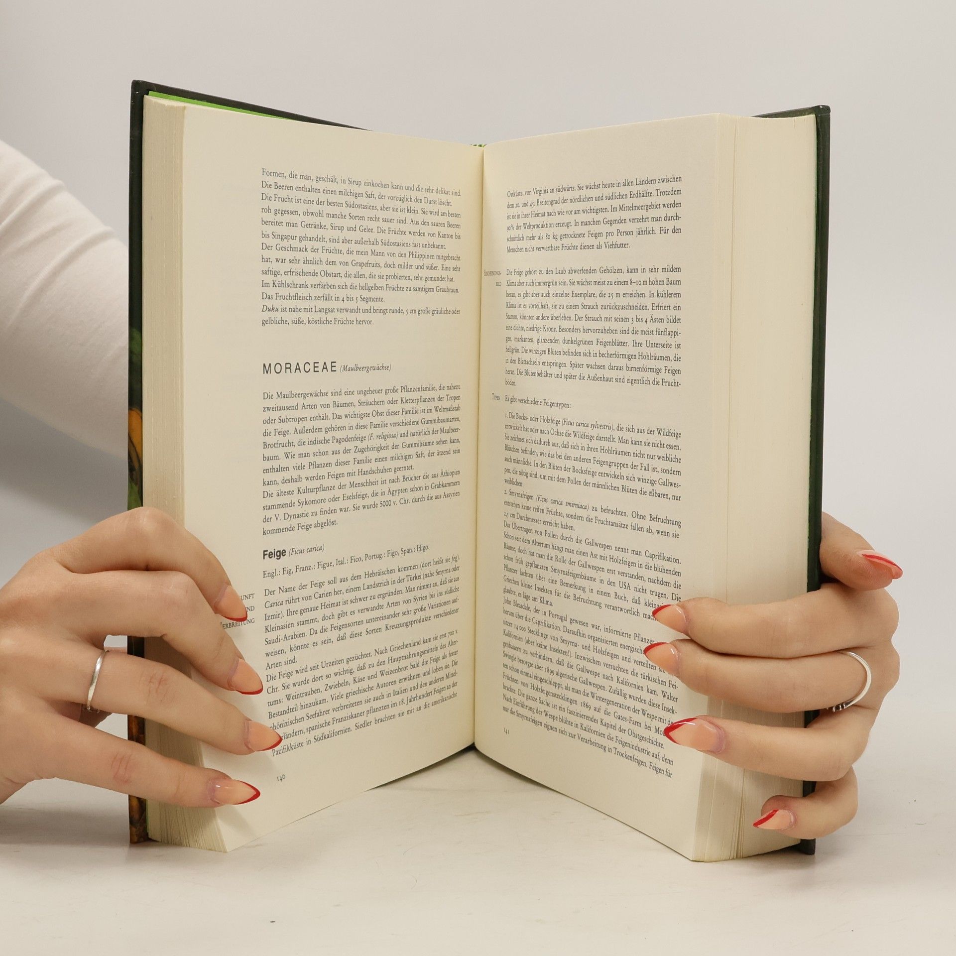 Brigitte Kranz Das grosse Buch der Früchte