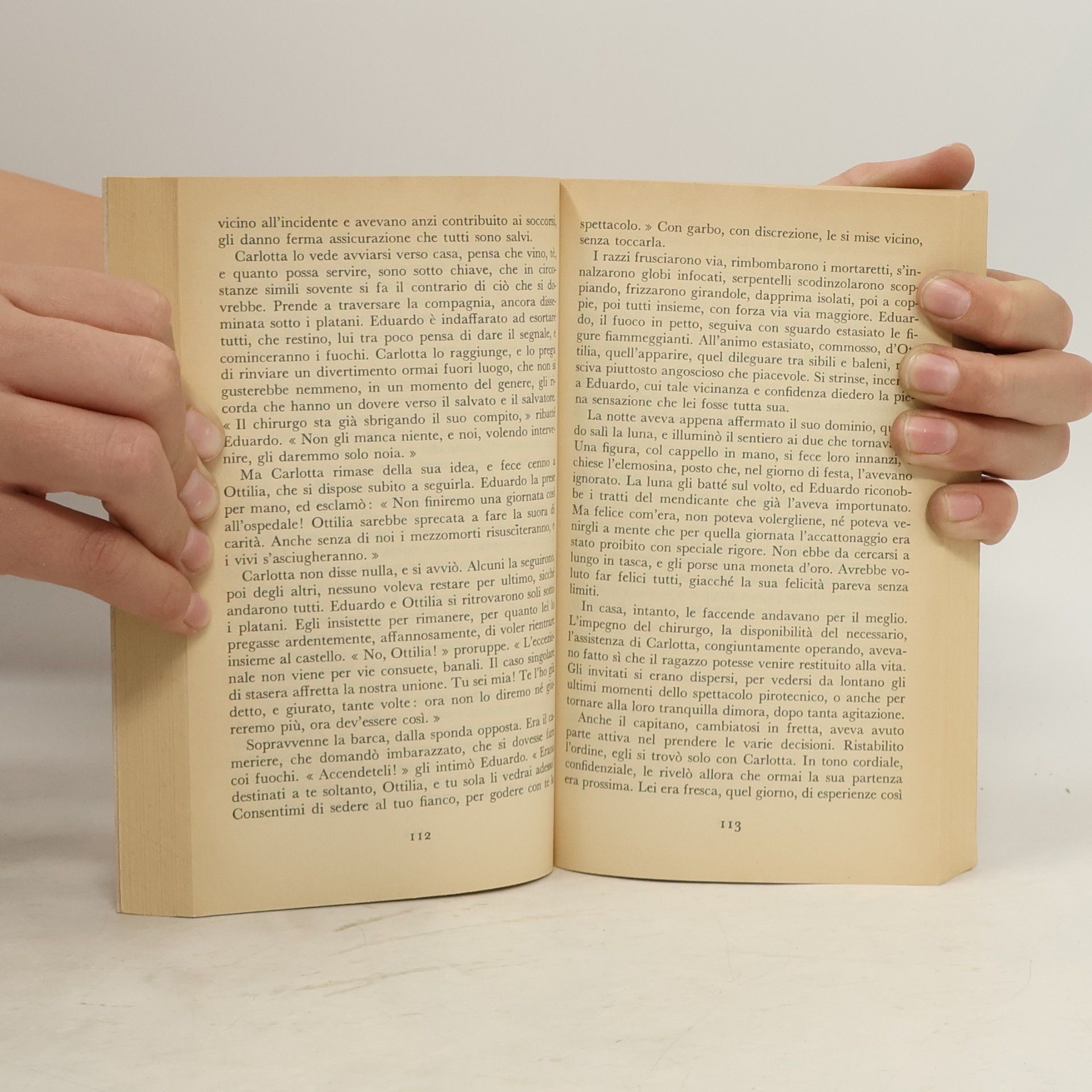 Johann Wolfgang von Goethe Le affinità elettive