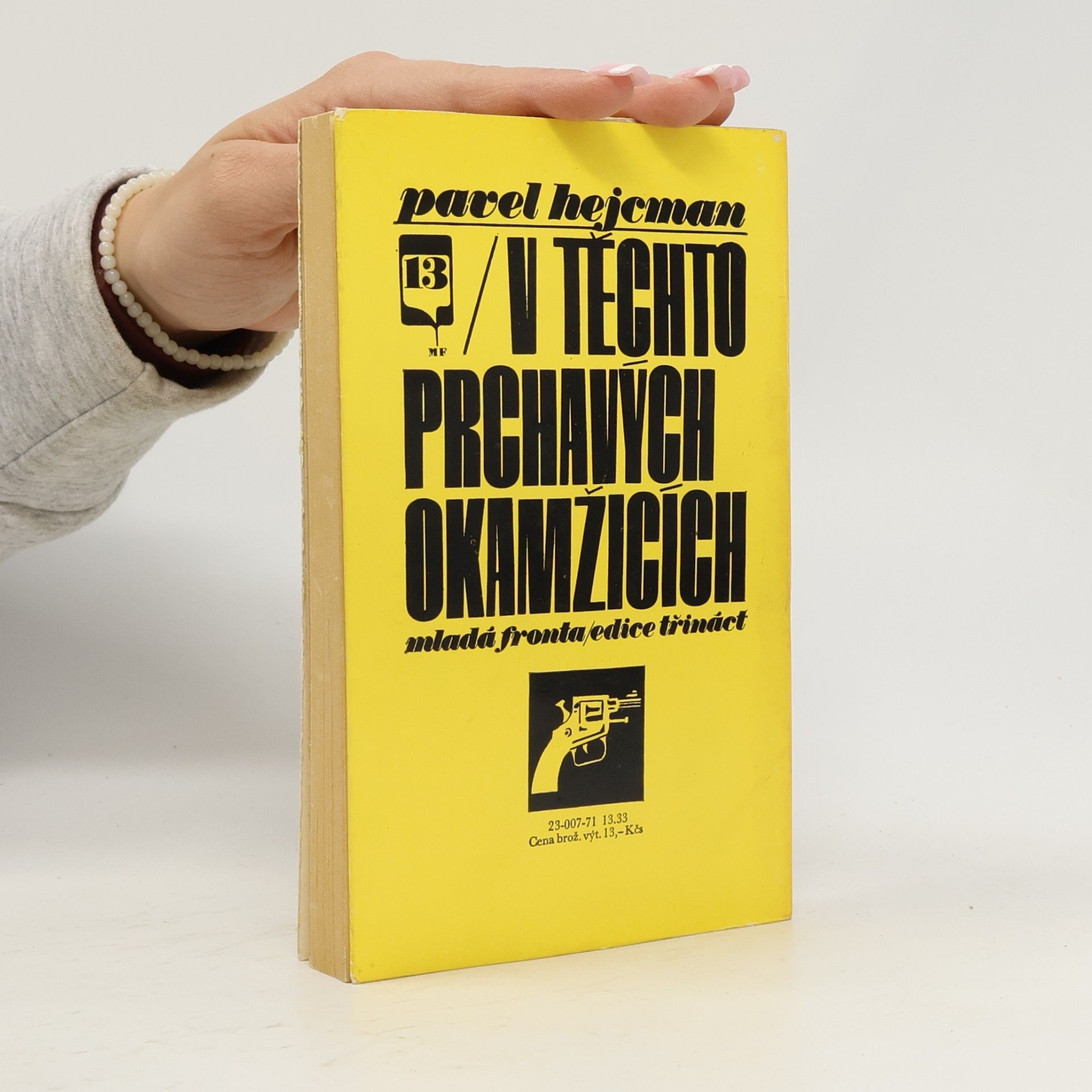 Pavel Hejcman V těchto prchavých okamžicích