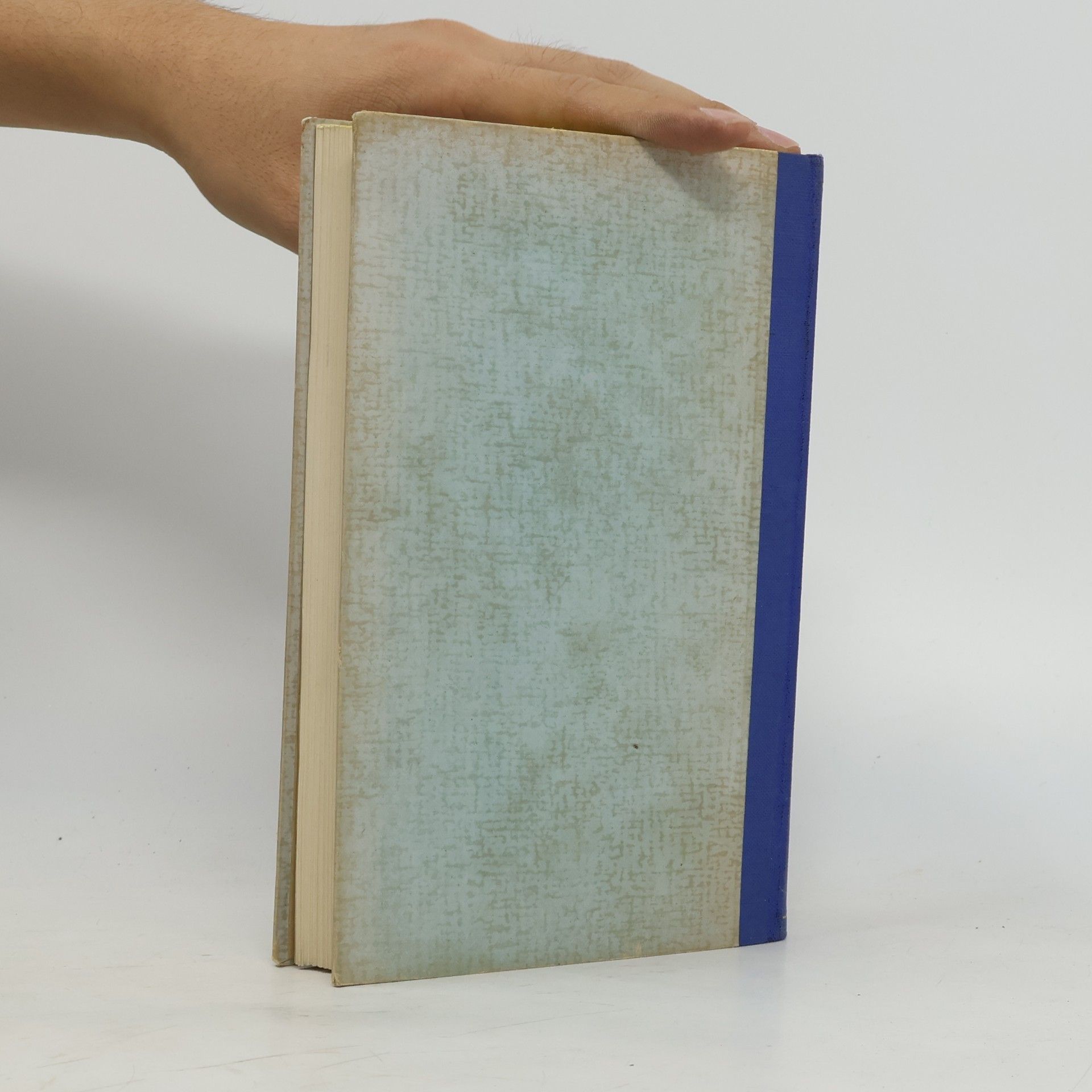 Cicognani Velia