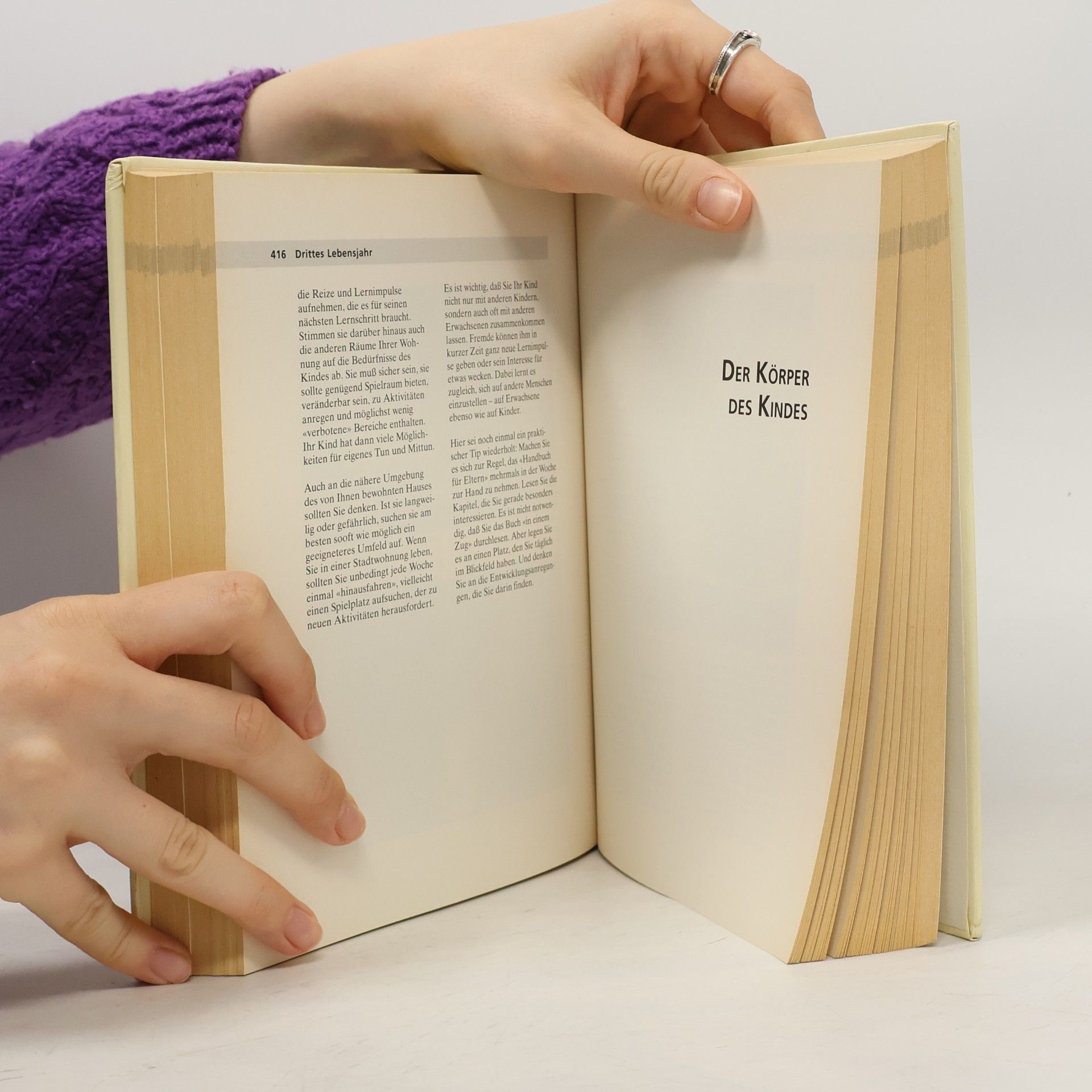 Ulrich Diekmeyer Handbuch für Eltern