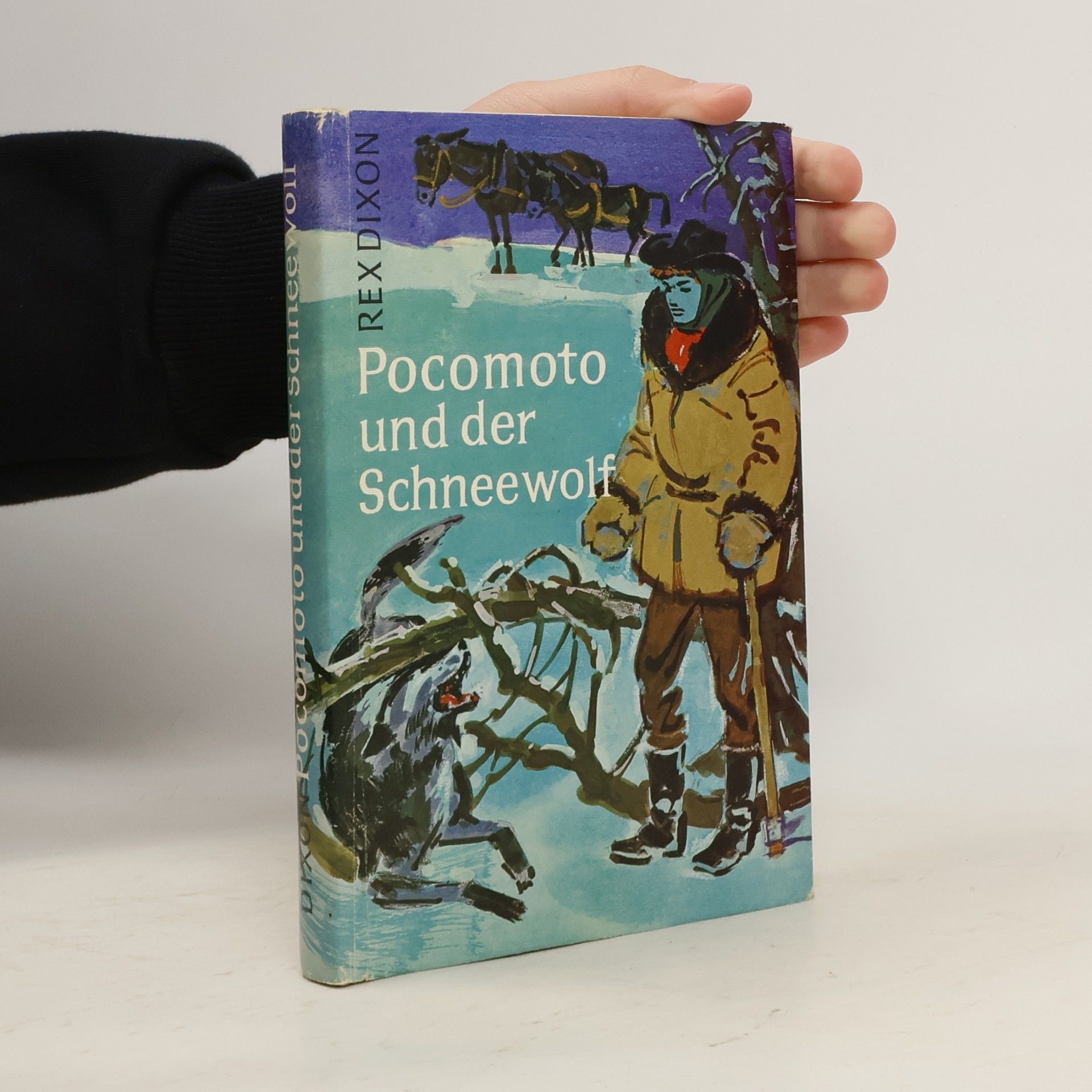 Pocomoto und der Schneewolf