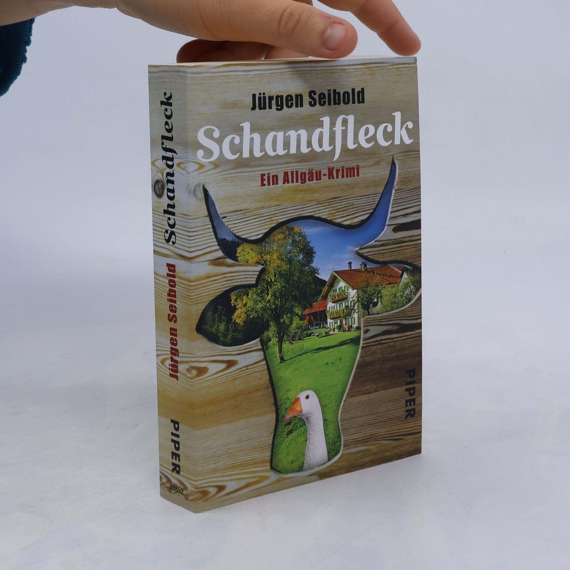 Schandfleck