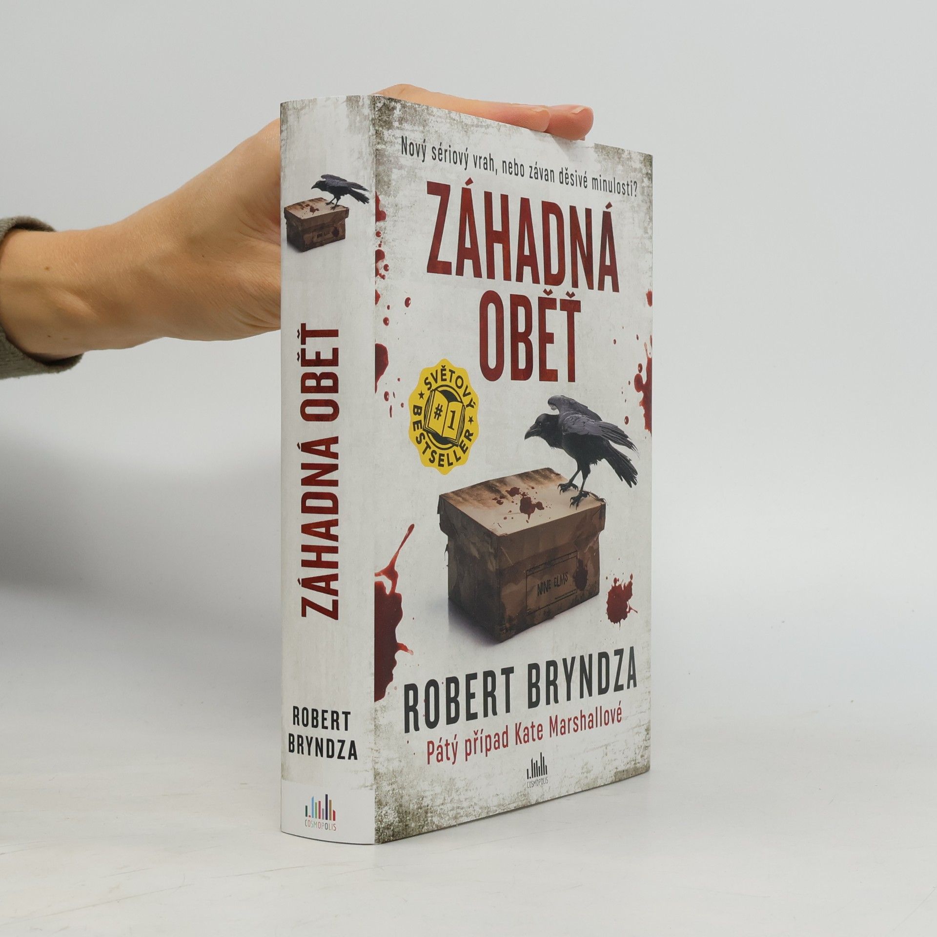 Robert Bryndza Záhadná oběť
