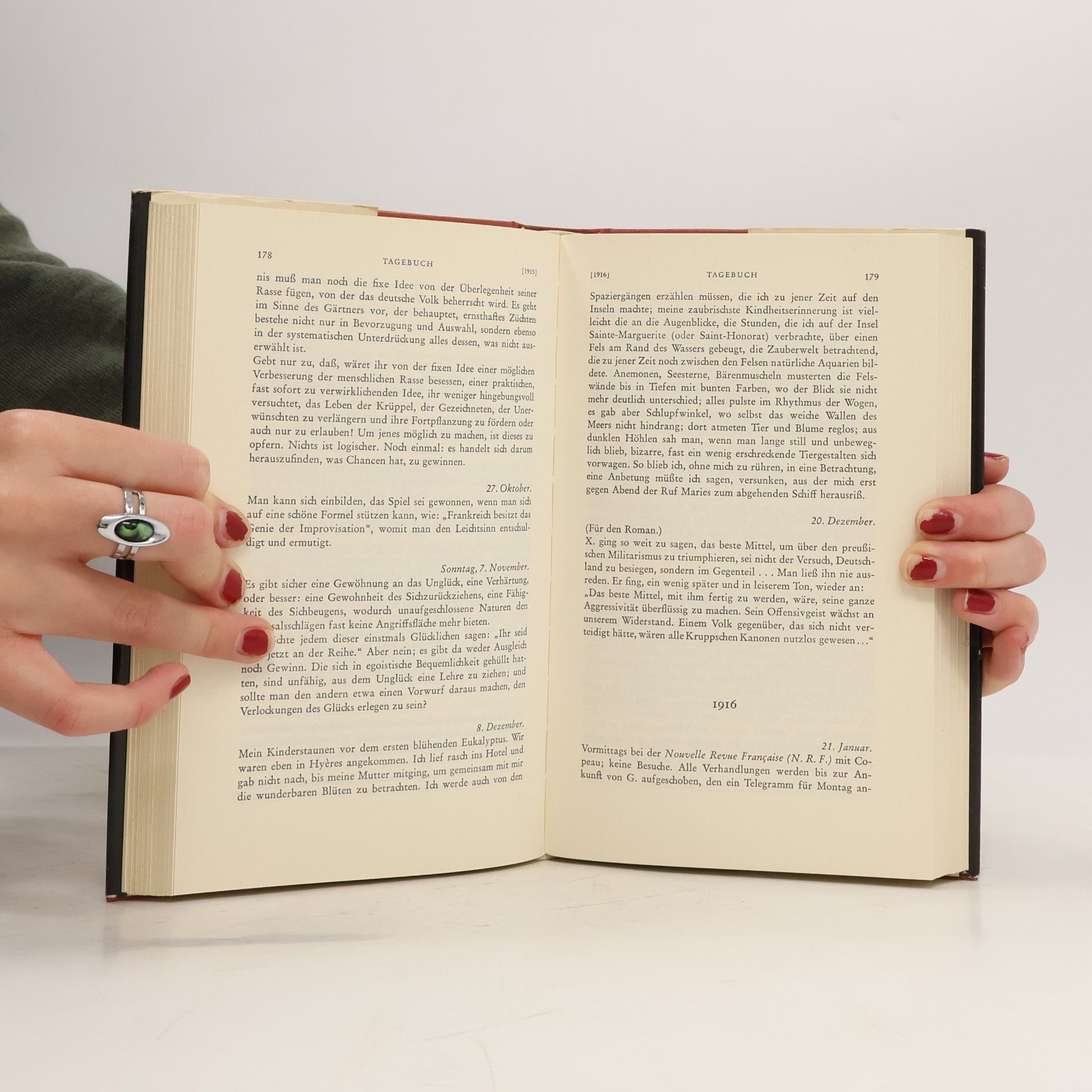 André Gide Aus den Tagebüchern 1889-1939