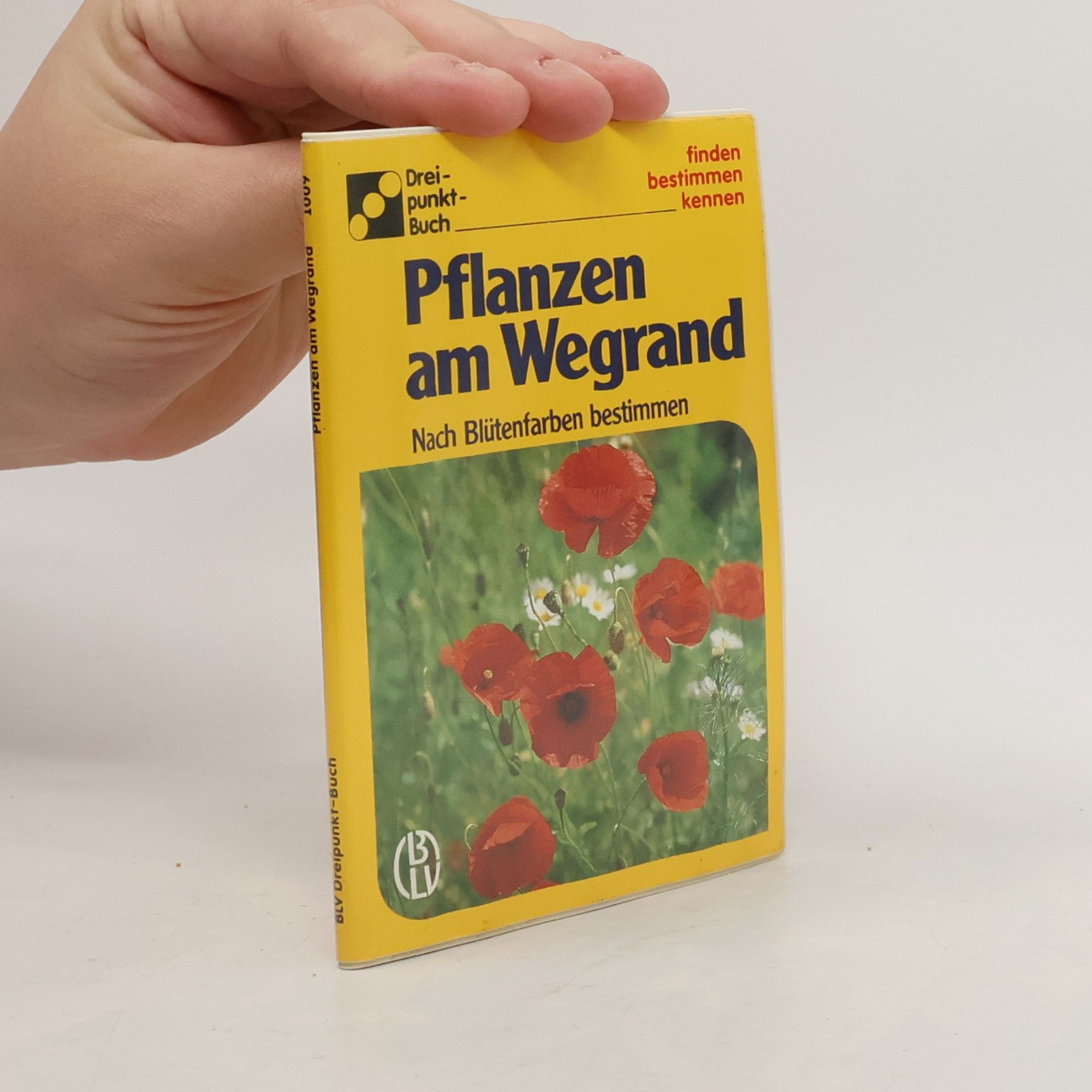 Pflanzen am Wegrand