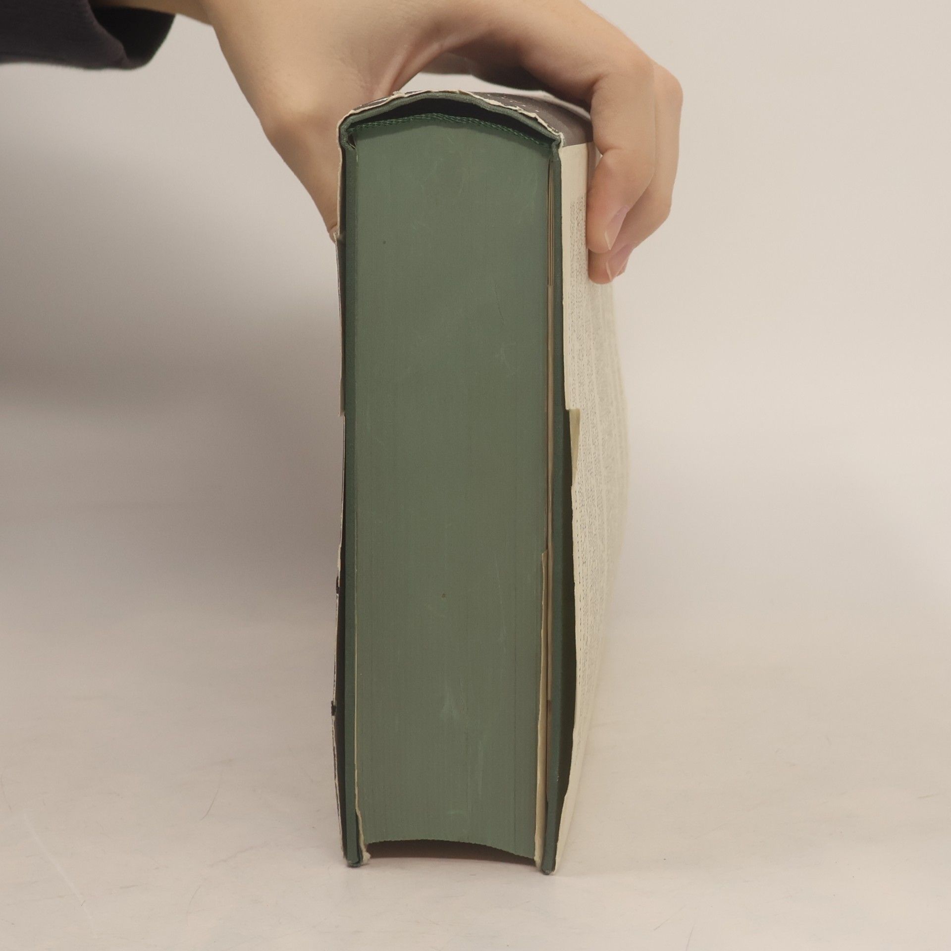 Otto Berkelbach Van Der Sprenkel Die überseeische Welt und ihre Erschliessung 8