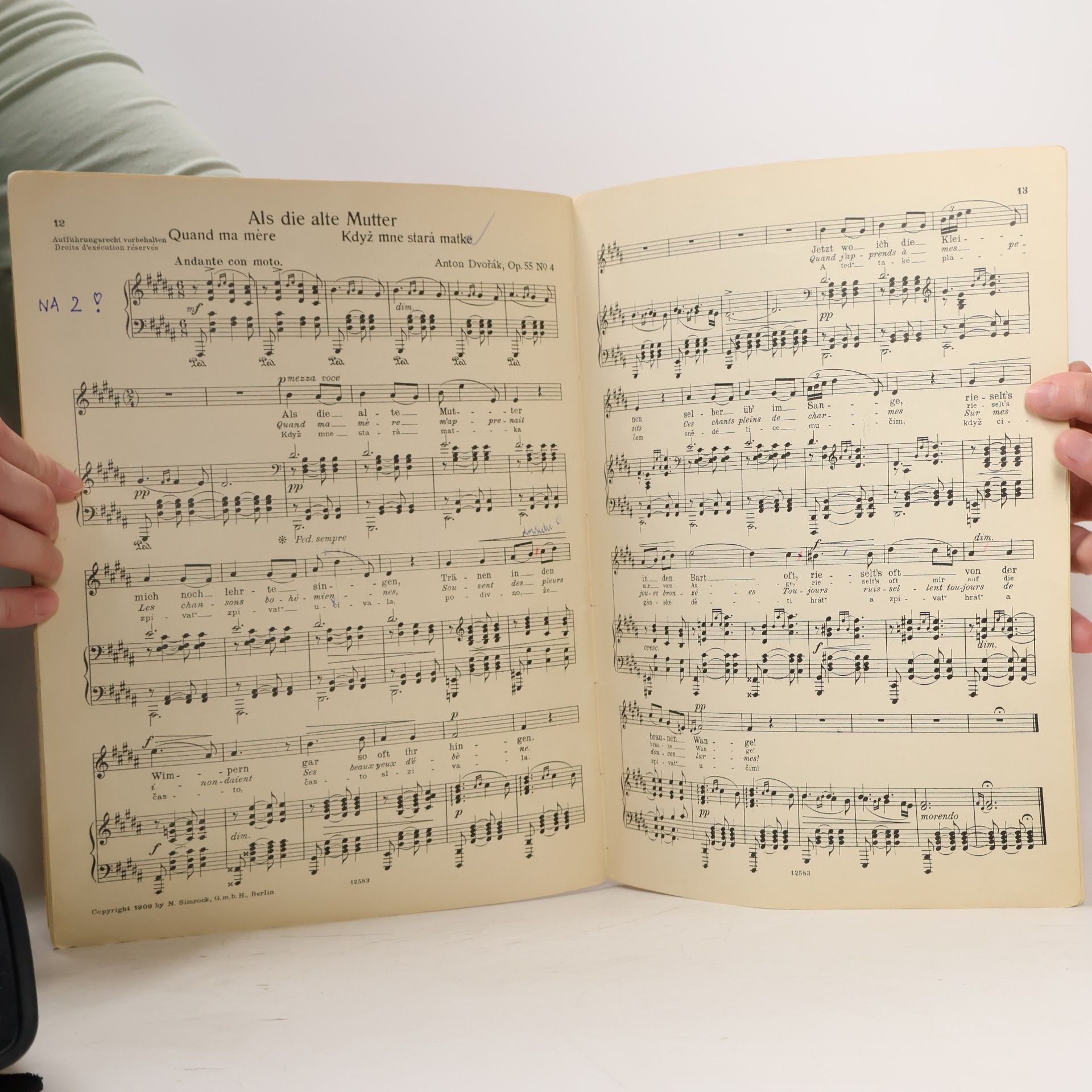 Antonín Dvořák Zigeunermelodien Op. 55