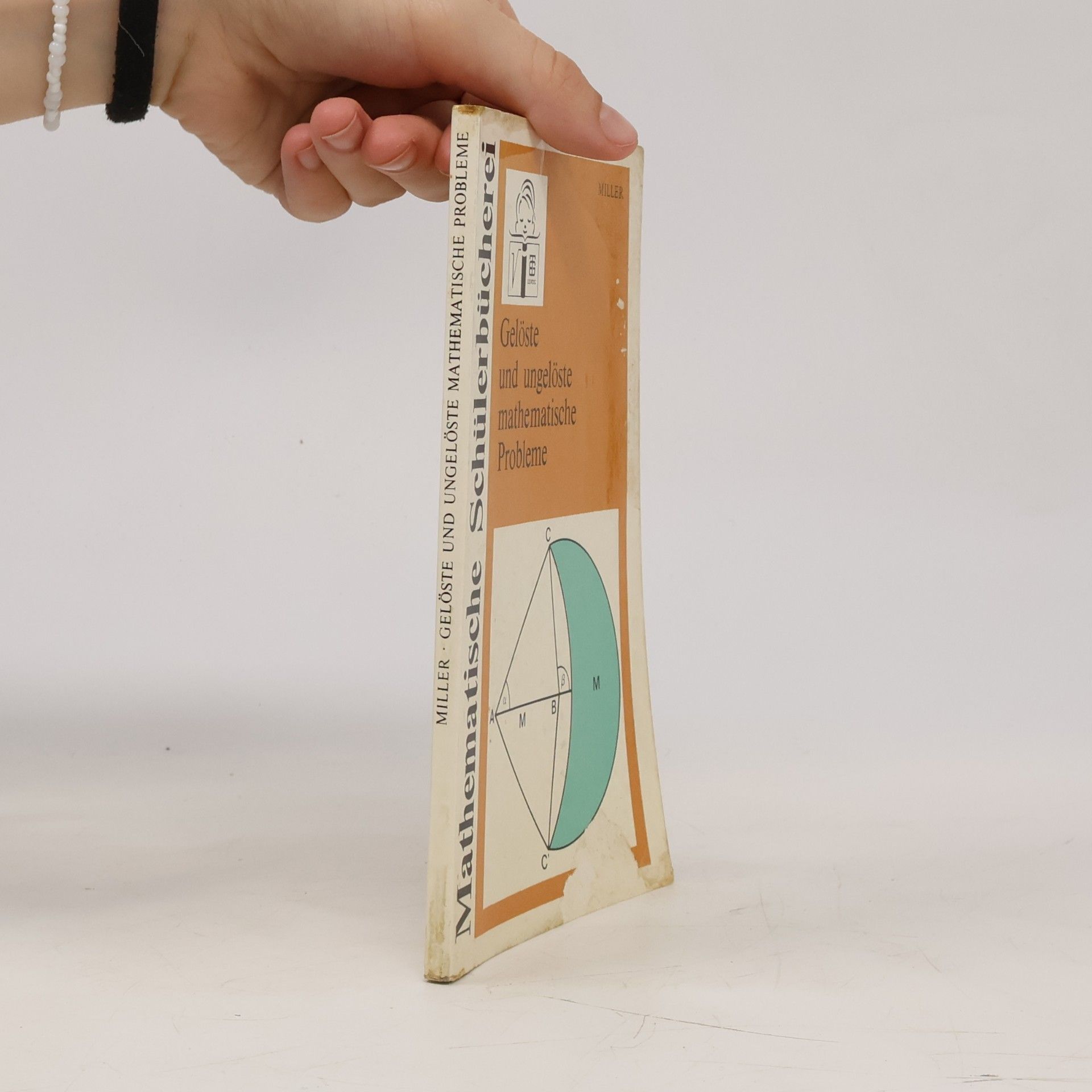 Mathematische Schülerbücherei - 73: Gelöste und ungelöste mathematische Probleme