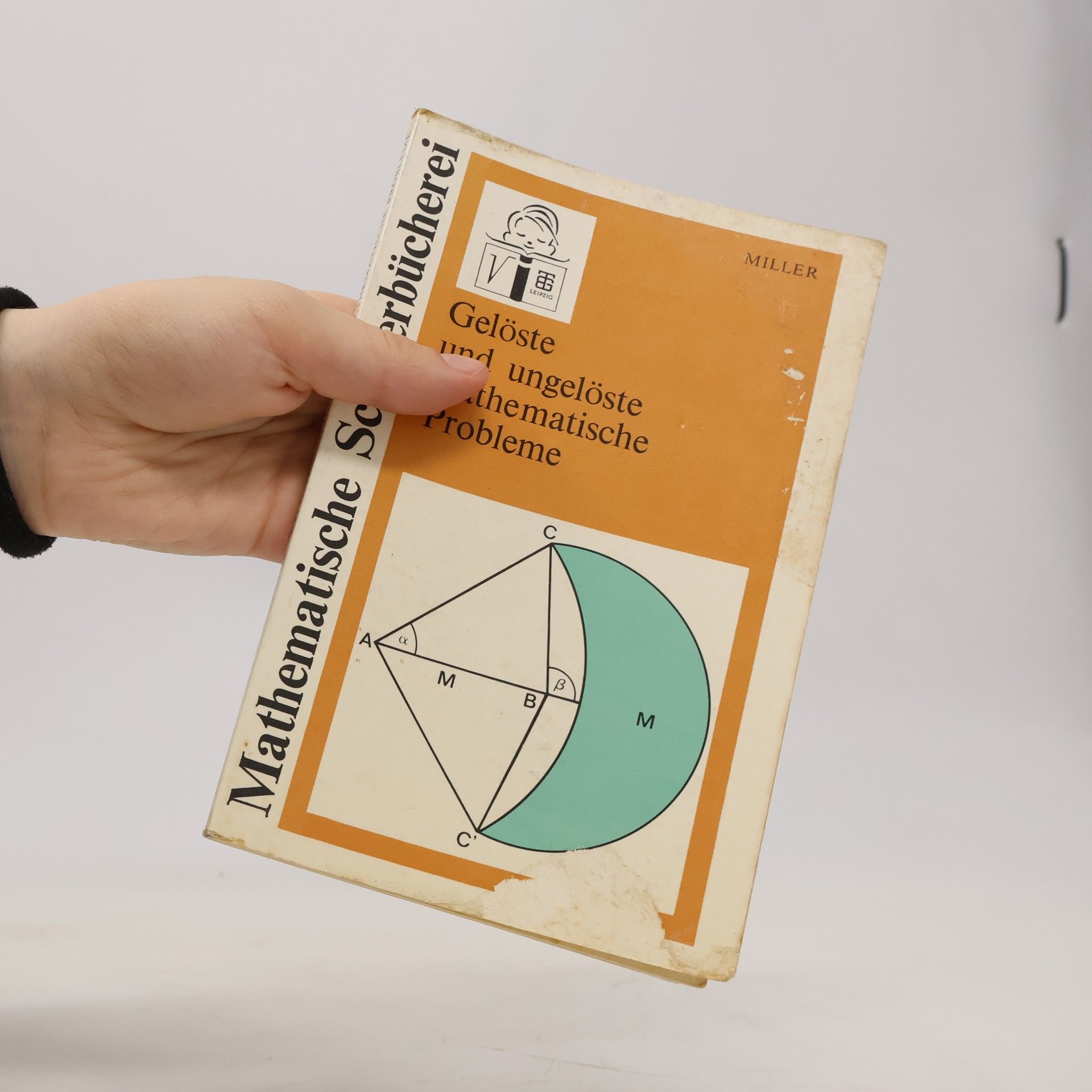 Max H. Miller Mathematische Schülerbücherei - 73: Gelöste und ungelöste mathematische Probleme