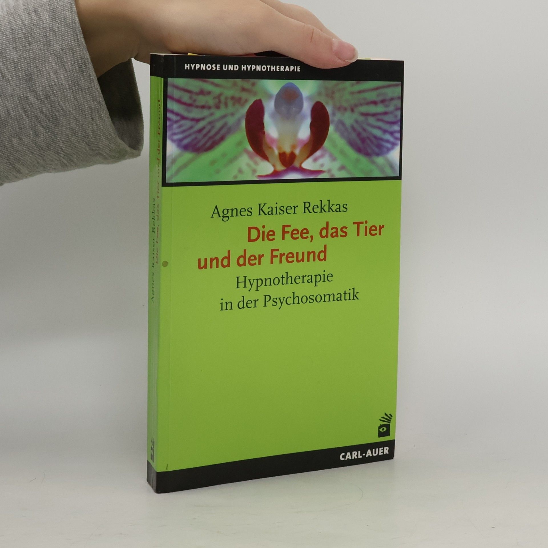 Die Fee, das Tier und der Freund