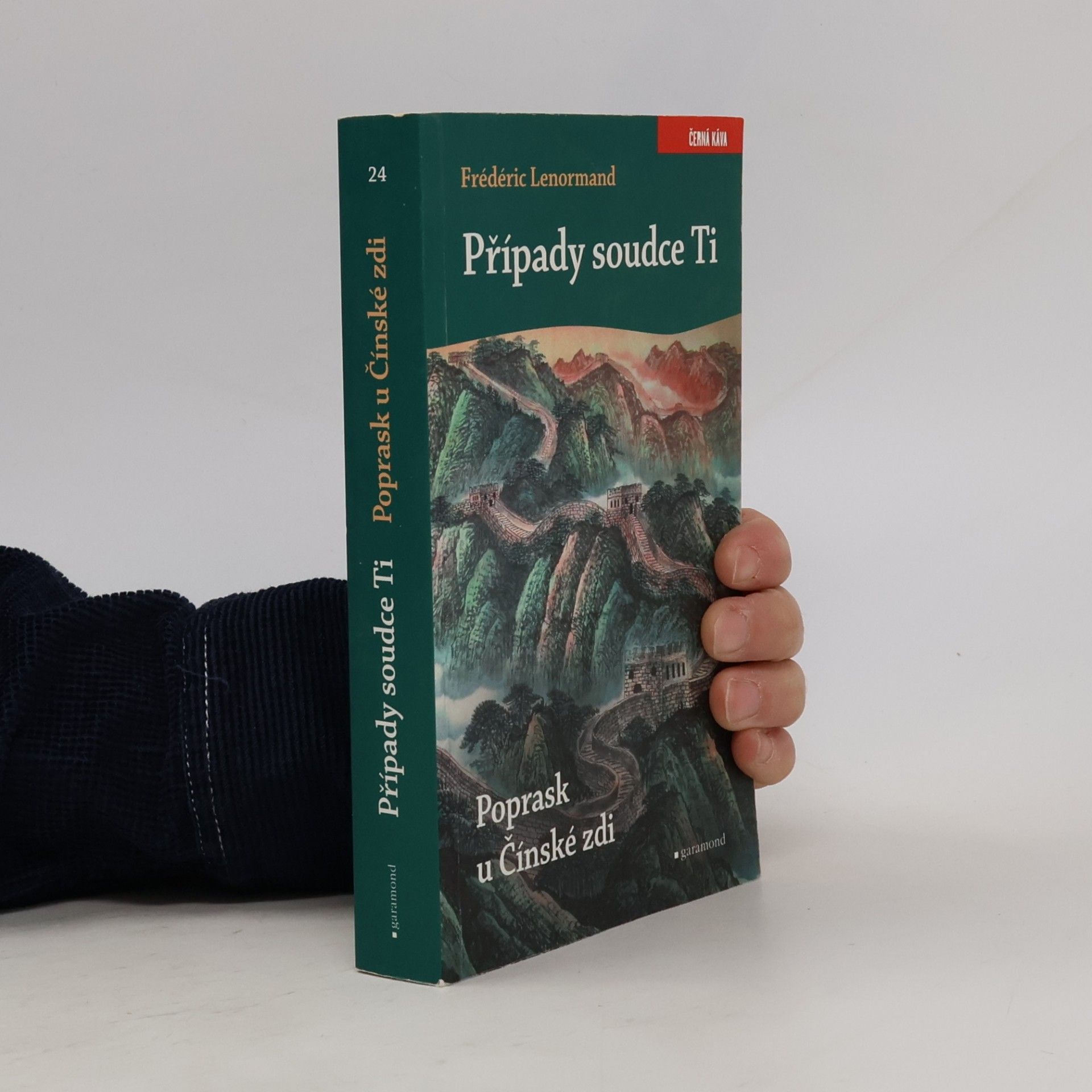Poprask u Čínské zdi. Případy soudce Ti.