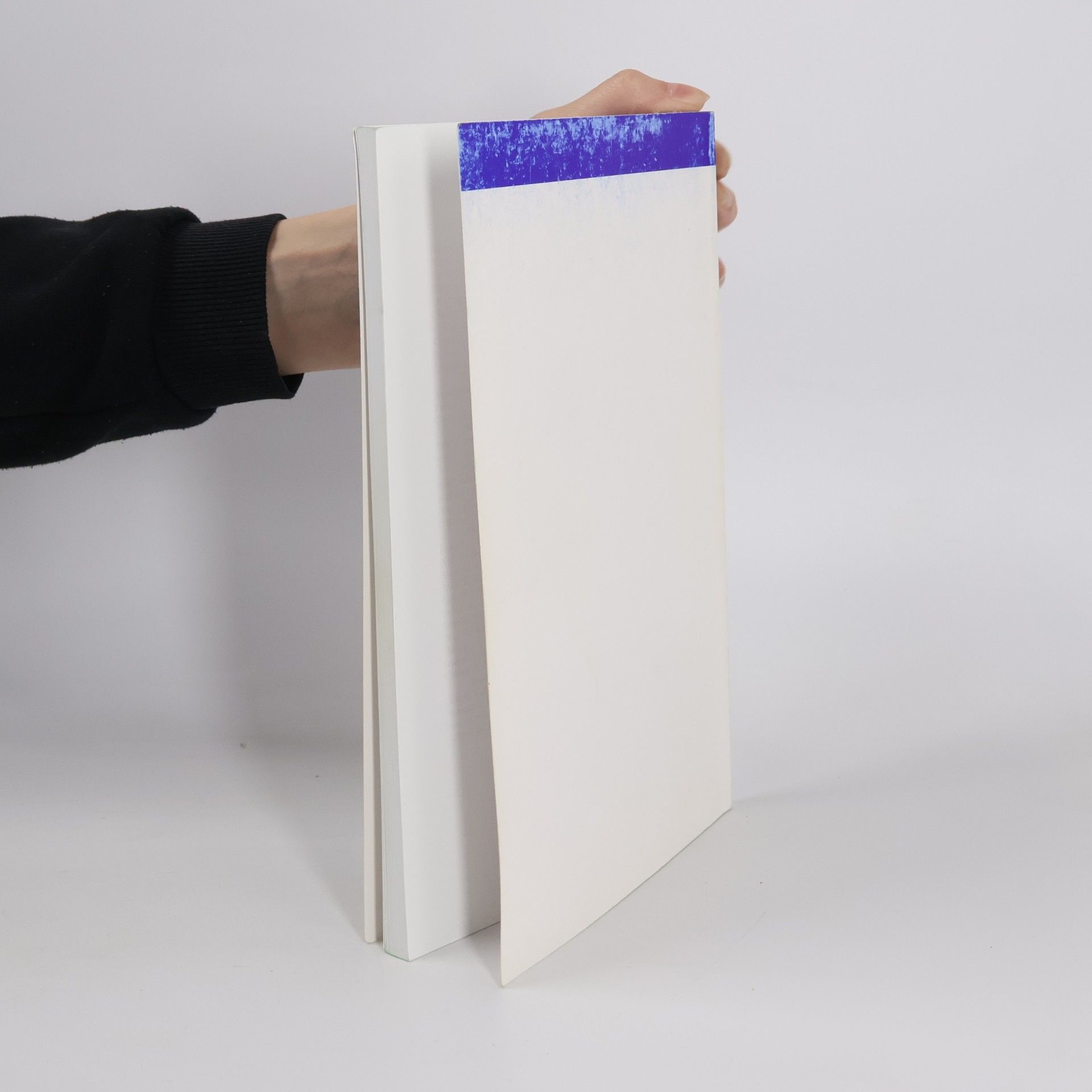 Alexandra Křepinská Rozšiřující materiály pro výuku anglického jazyka