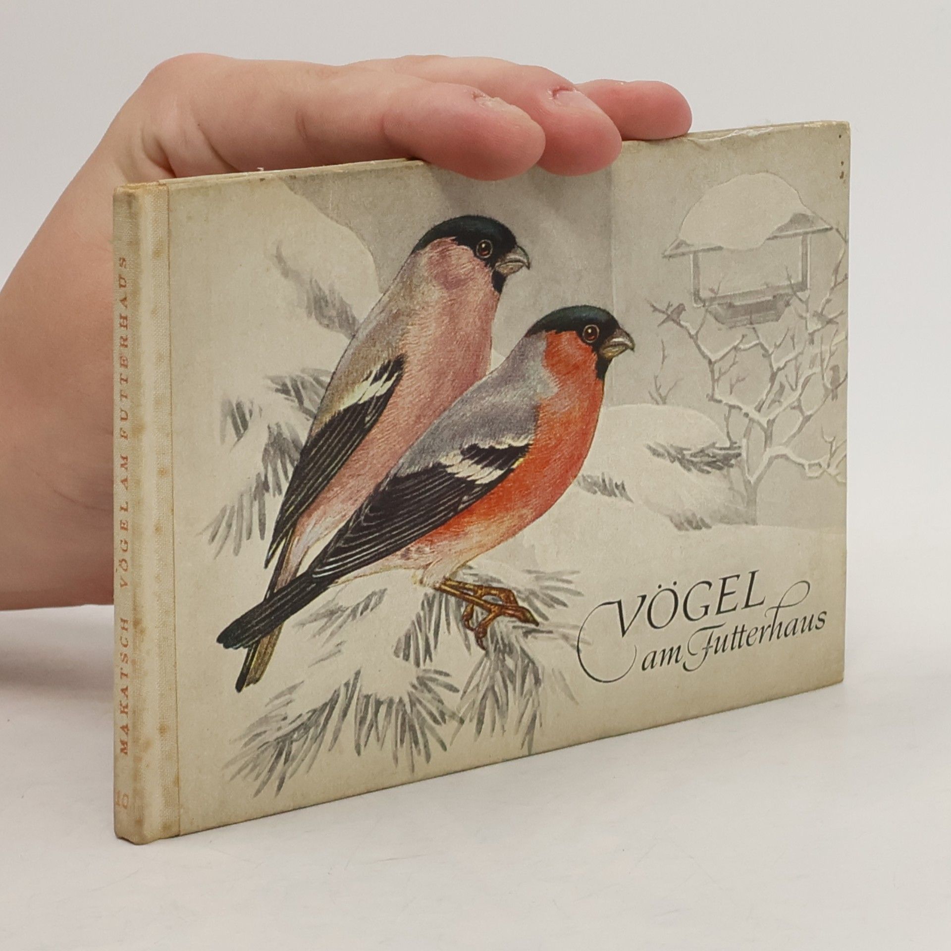 Wolfgang Makatsch Vögel am Futterhaus