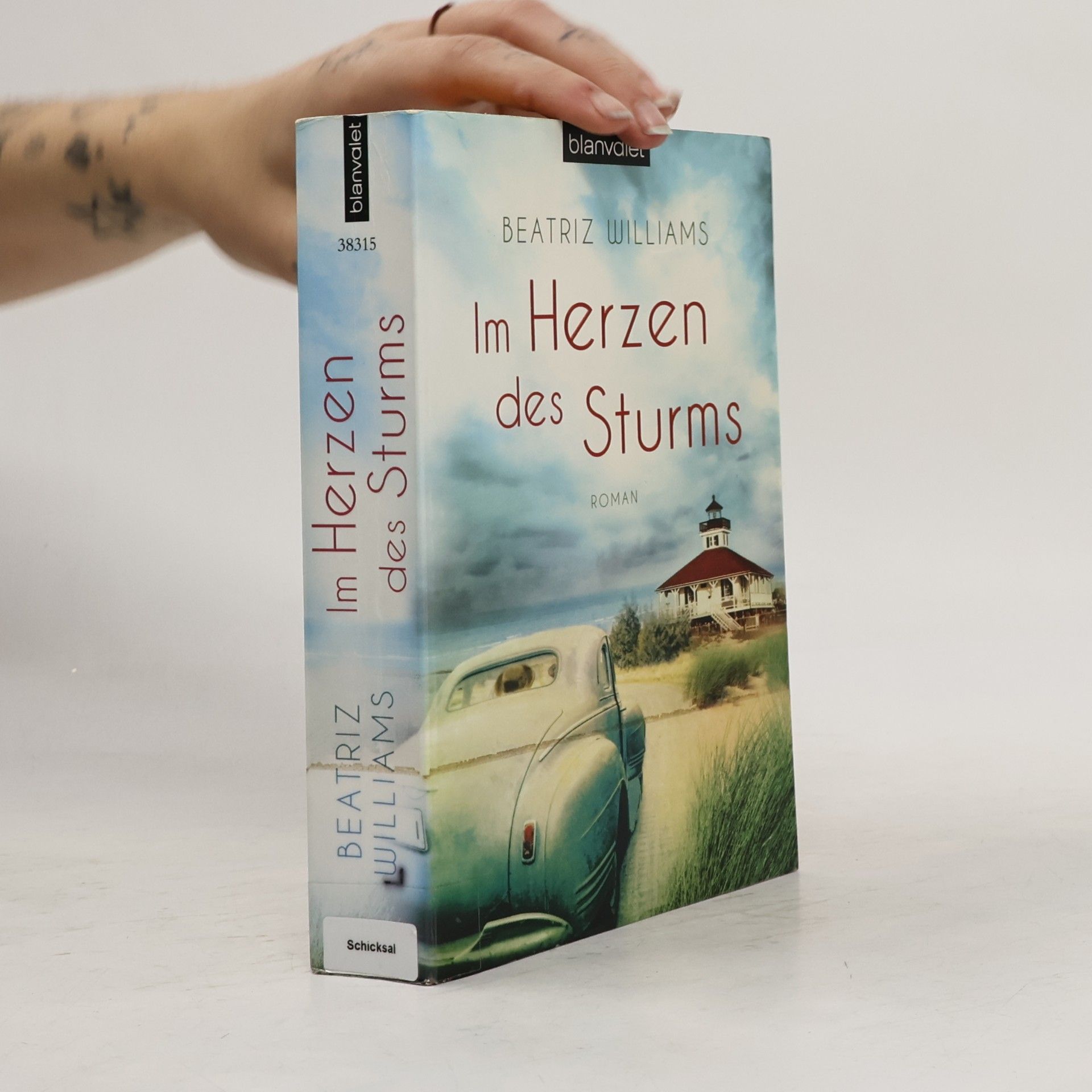 Beatriz Williams Im Herzen des Sturms
