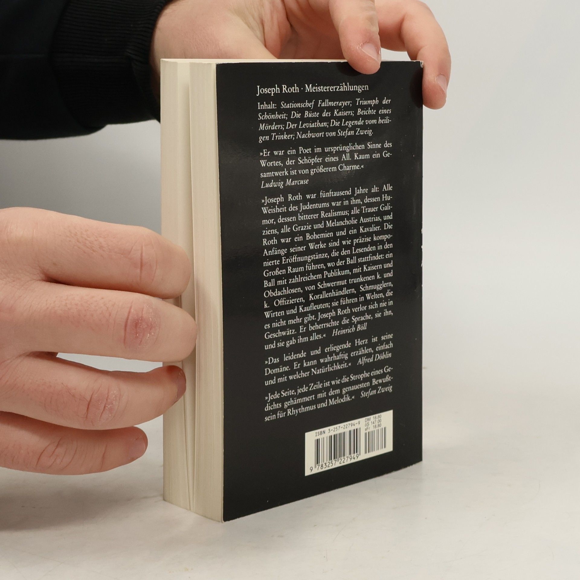 Joseph Roth Meistererzählungen