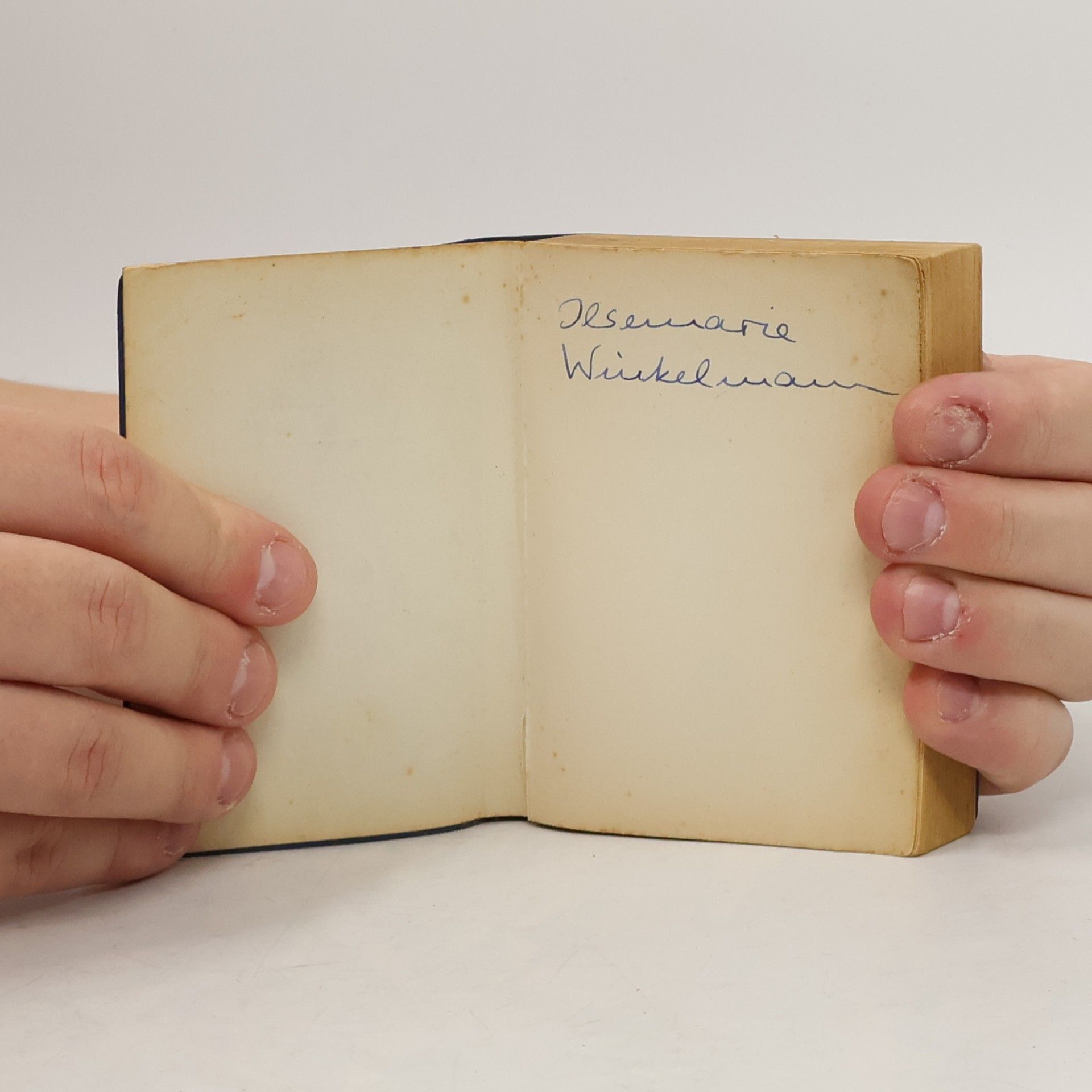 Kolektív autorov Langenscheidts Universal-Wörterbuch