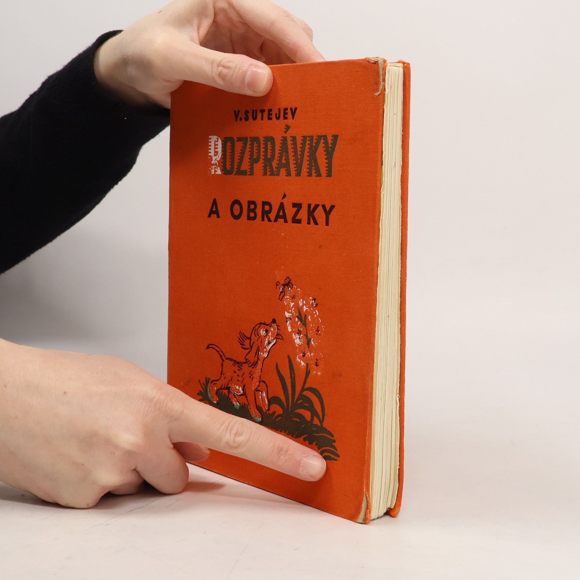 Vladimír Sutějev Rozprávky a obrázky