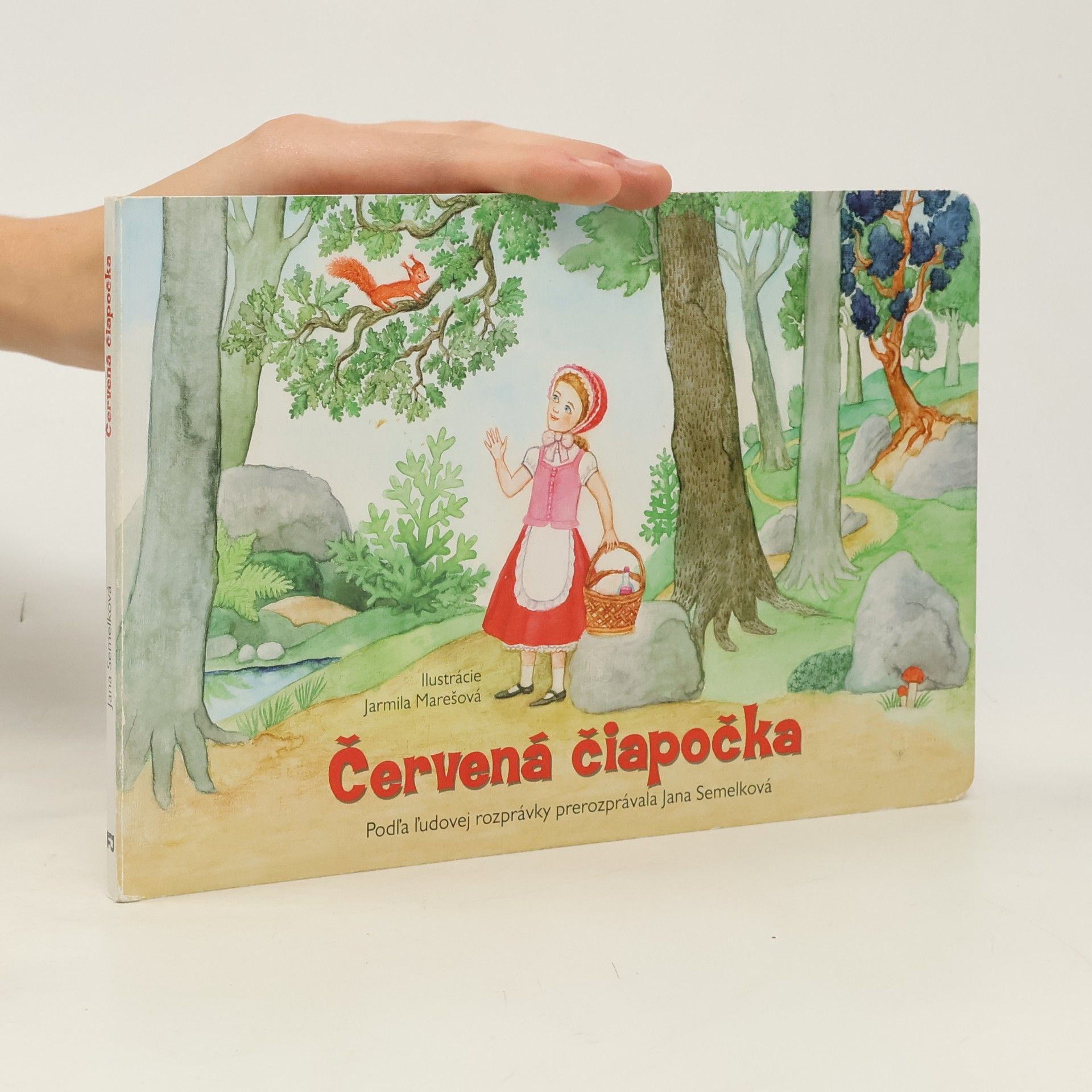 Kolektiv autorů Červená čiapočka