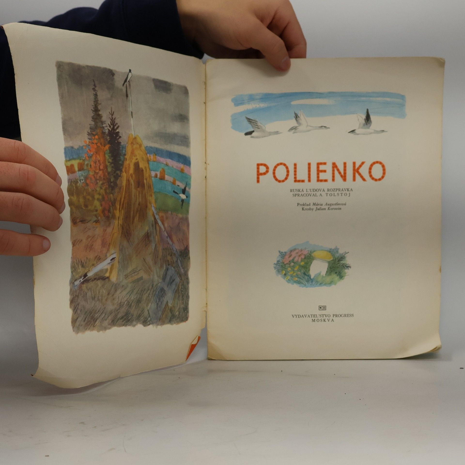 Autorenkollektiv Polienko