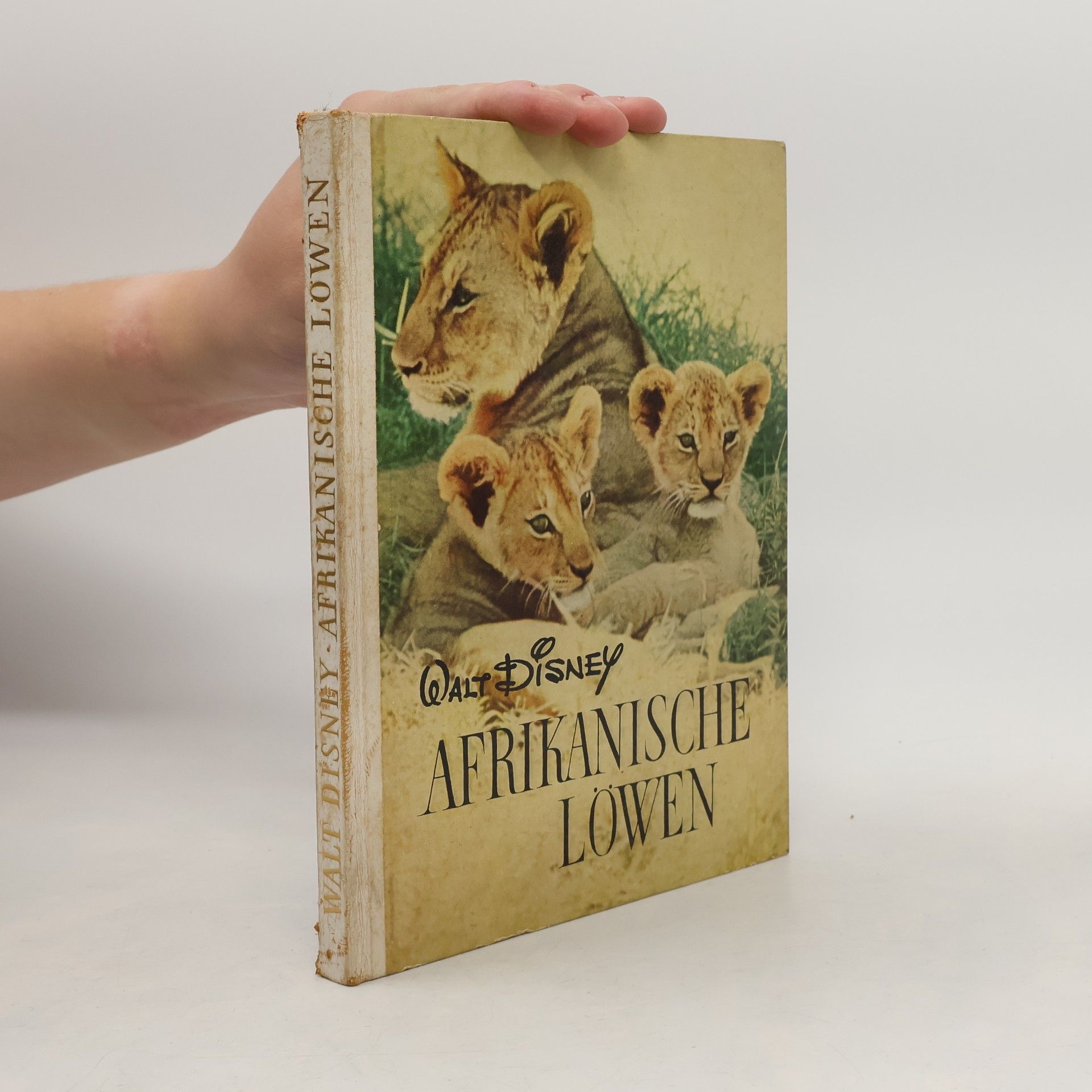 Autorenkollektiv Afrikanische Löwen