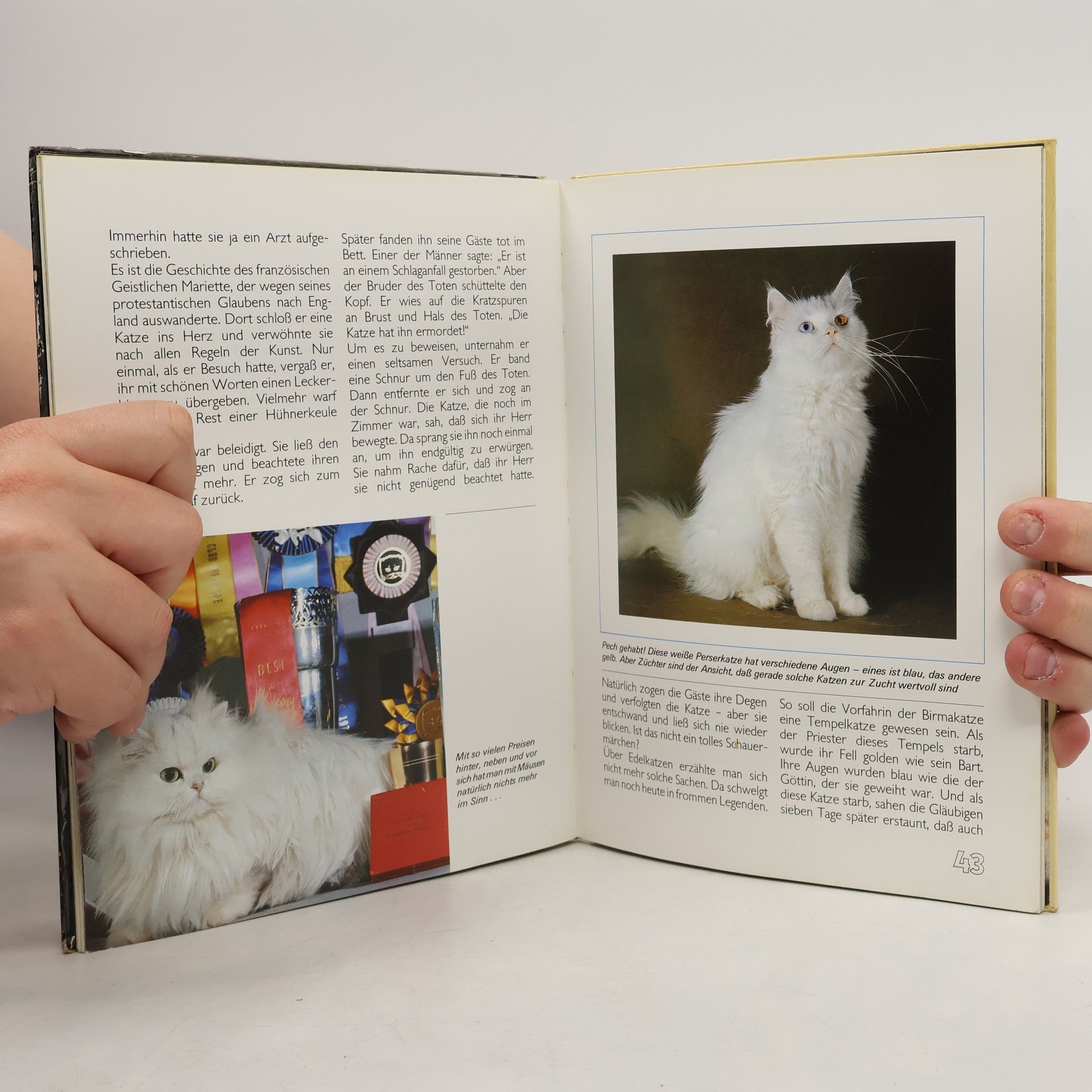 Dieter Conrads Katzen verstehen und liebhaben