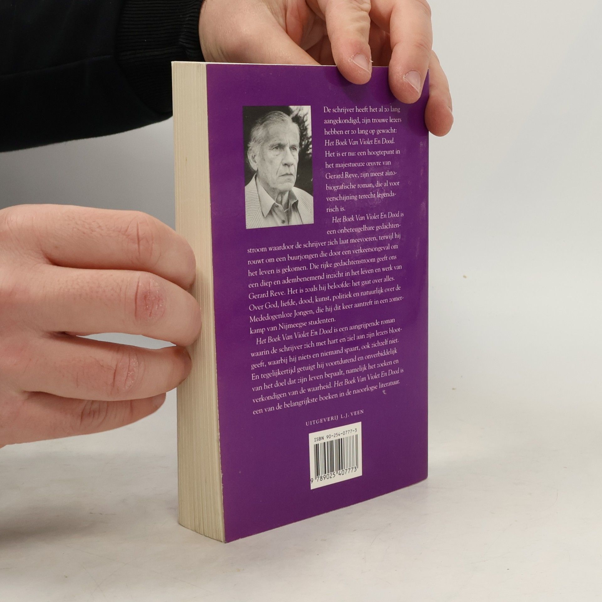 Gerard Kornelis van Het Reve Het boek van violet en dood