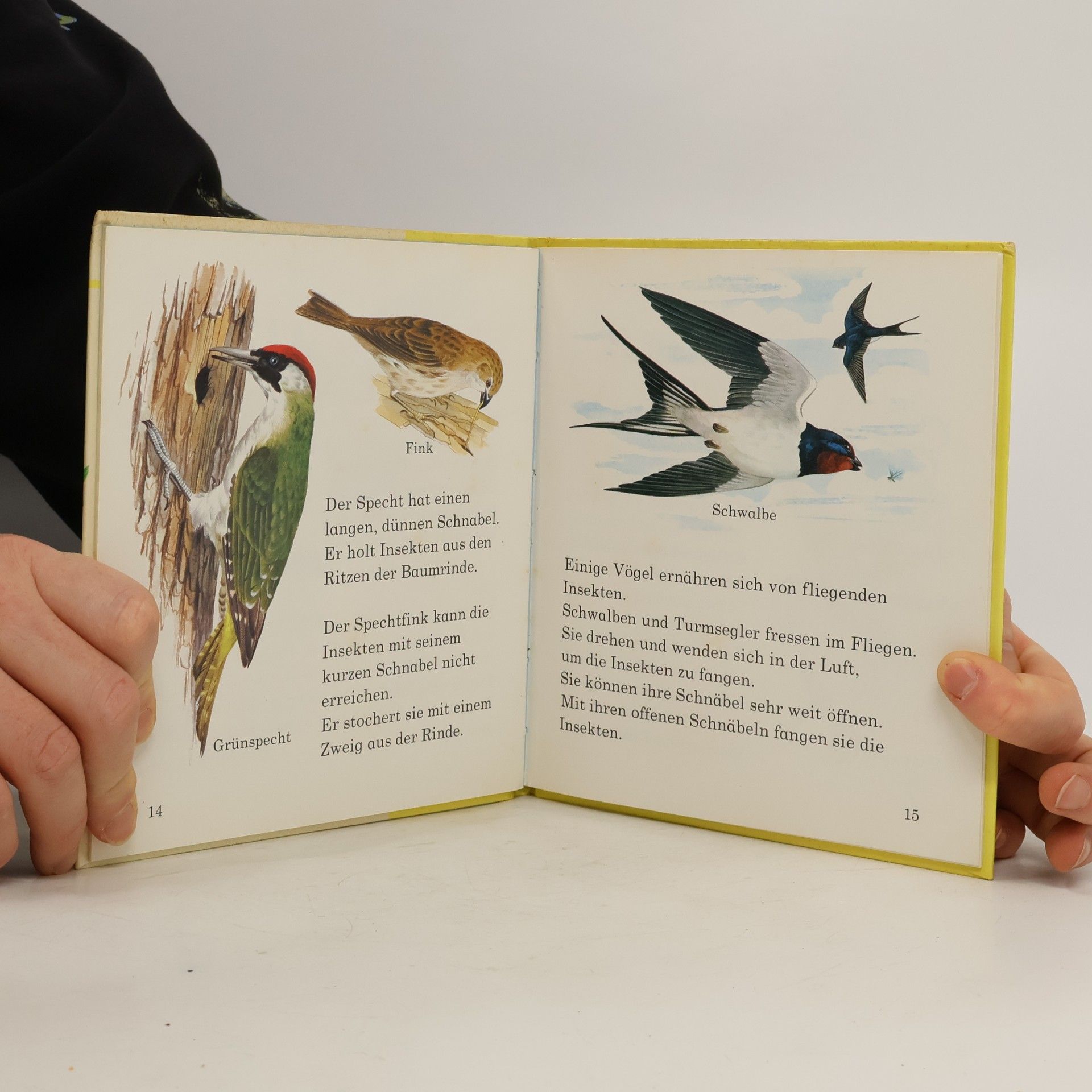 Autorenkollektiv Zugvögel und Vogelzug