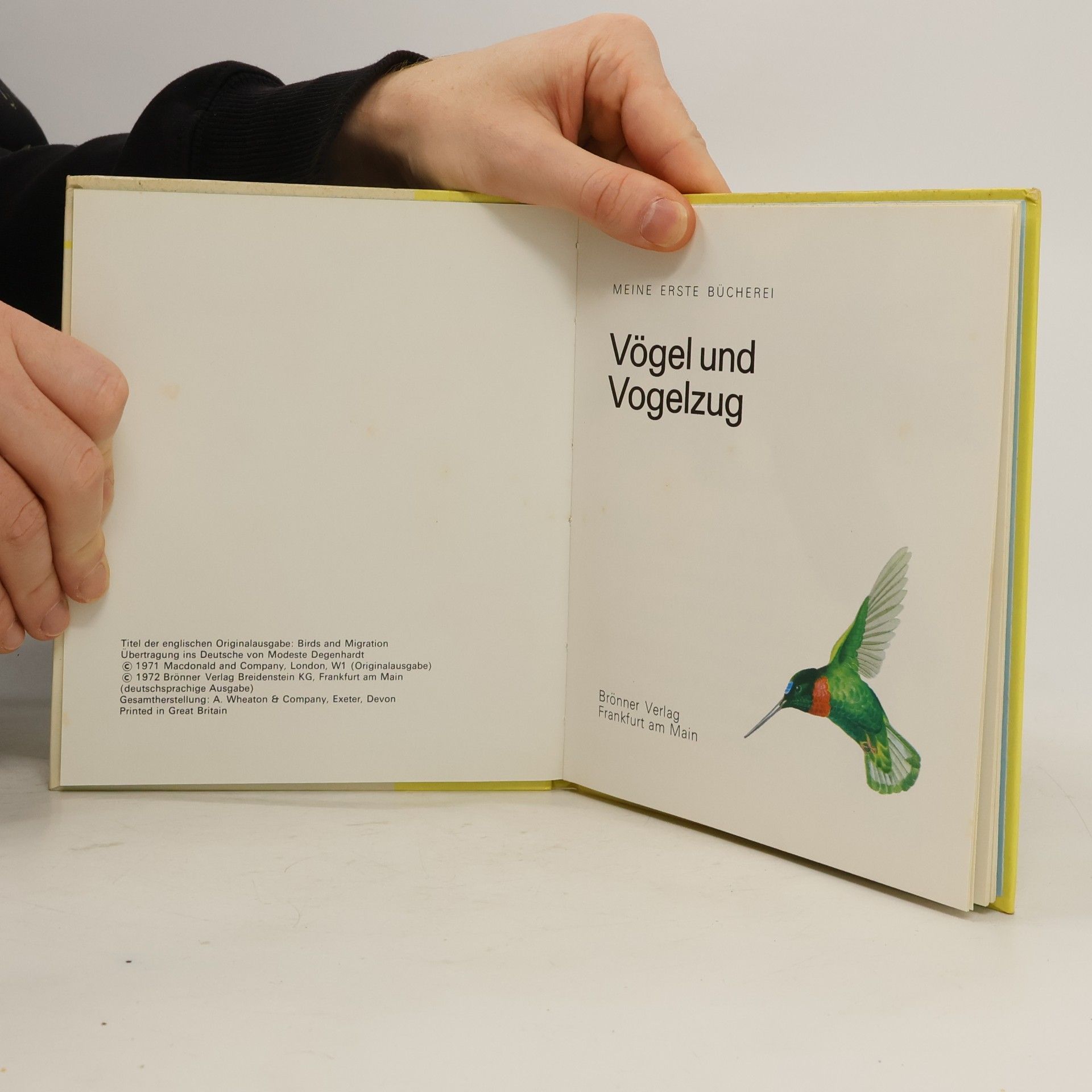 Autorenkollektiv Zugvögel und Vogelzug