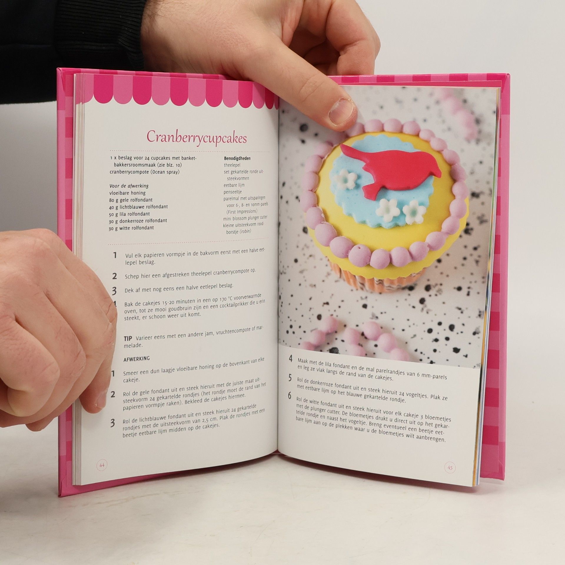 Various authors Lekker zelf mini cupcakes maken