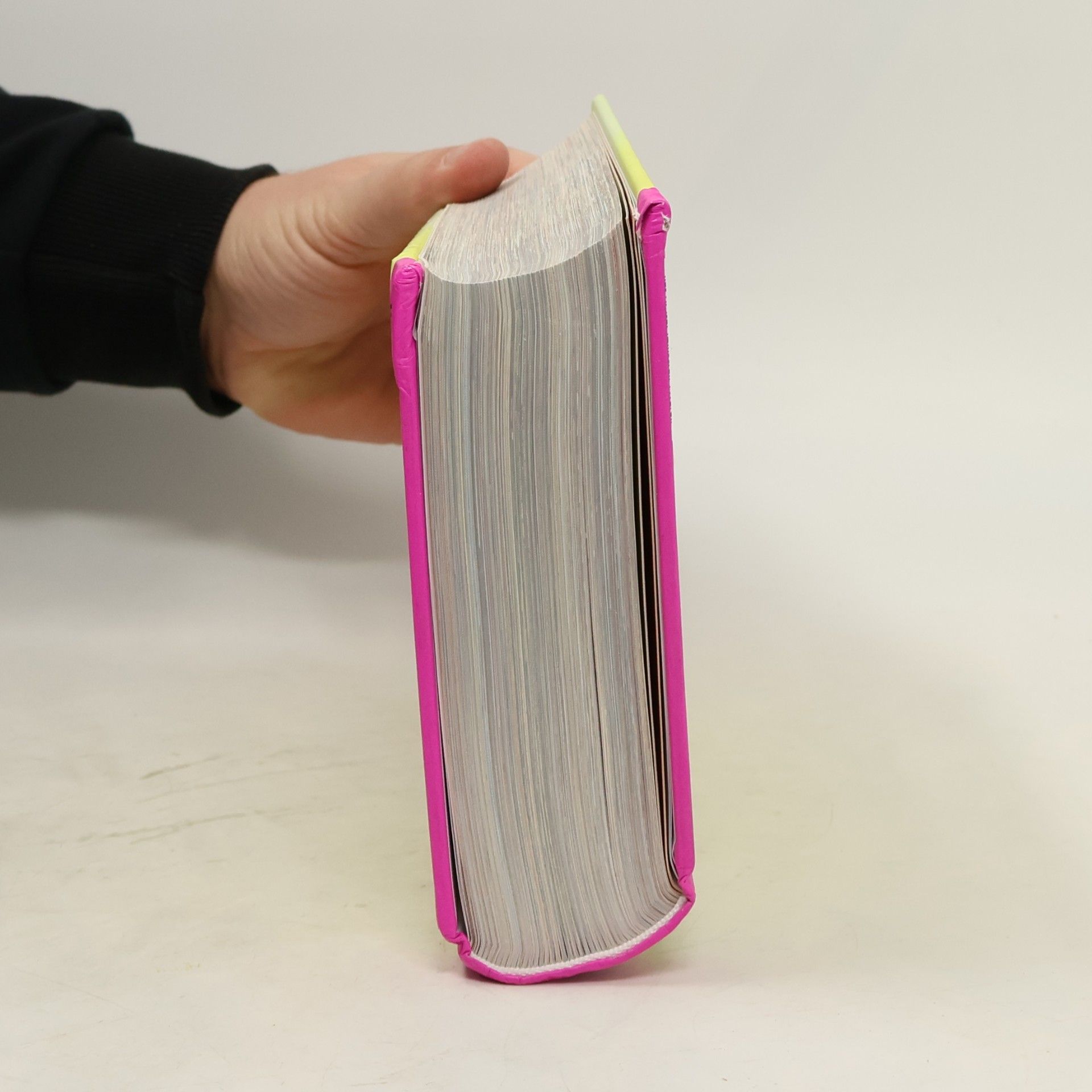 Weltrezepte-Handbuch