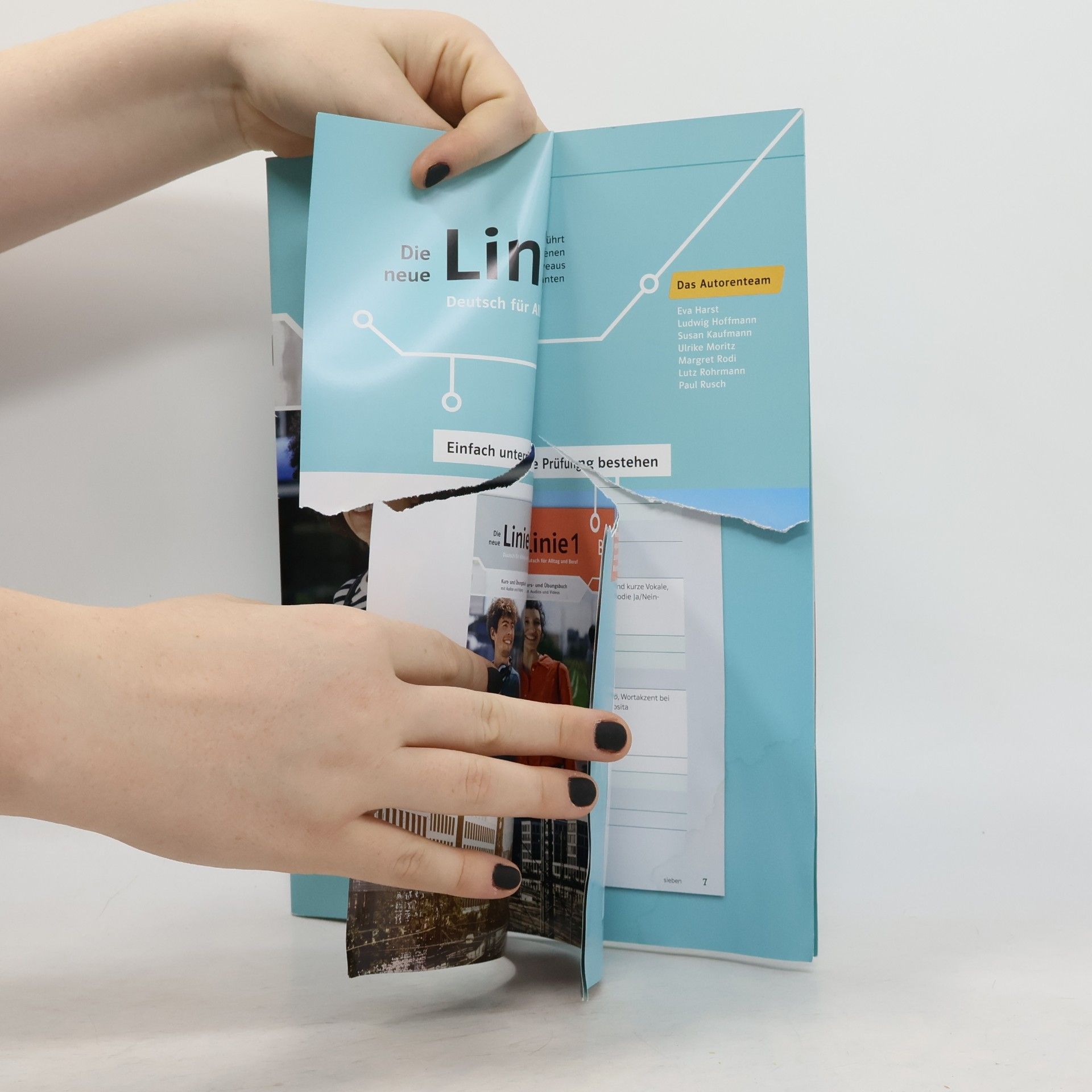 Margit Doubek Die neue Linie 1