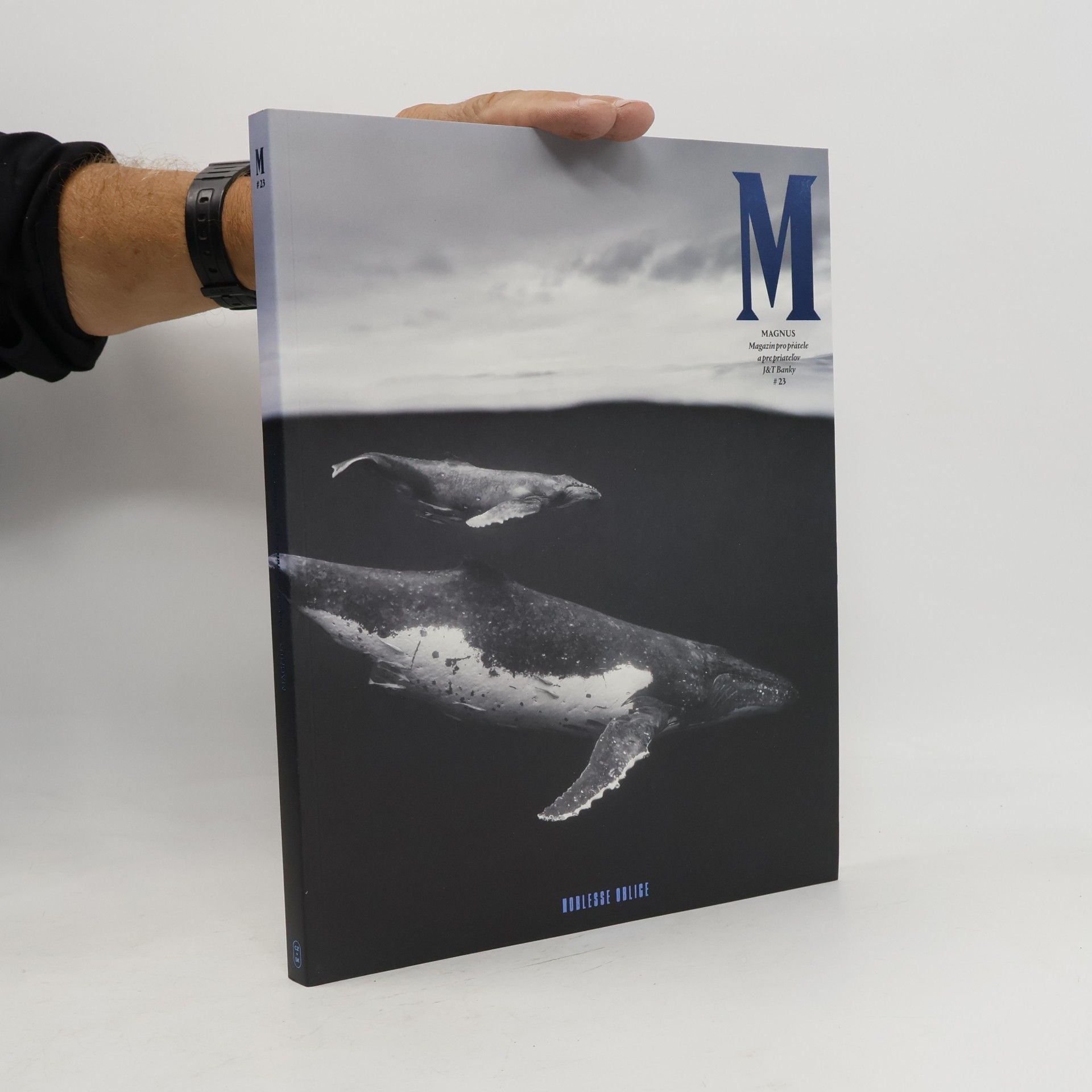 Autorenkollektiv Magnus #23