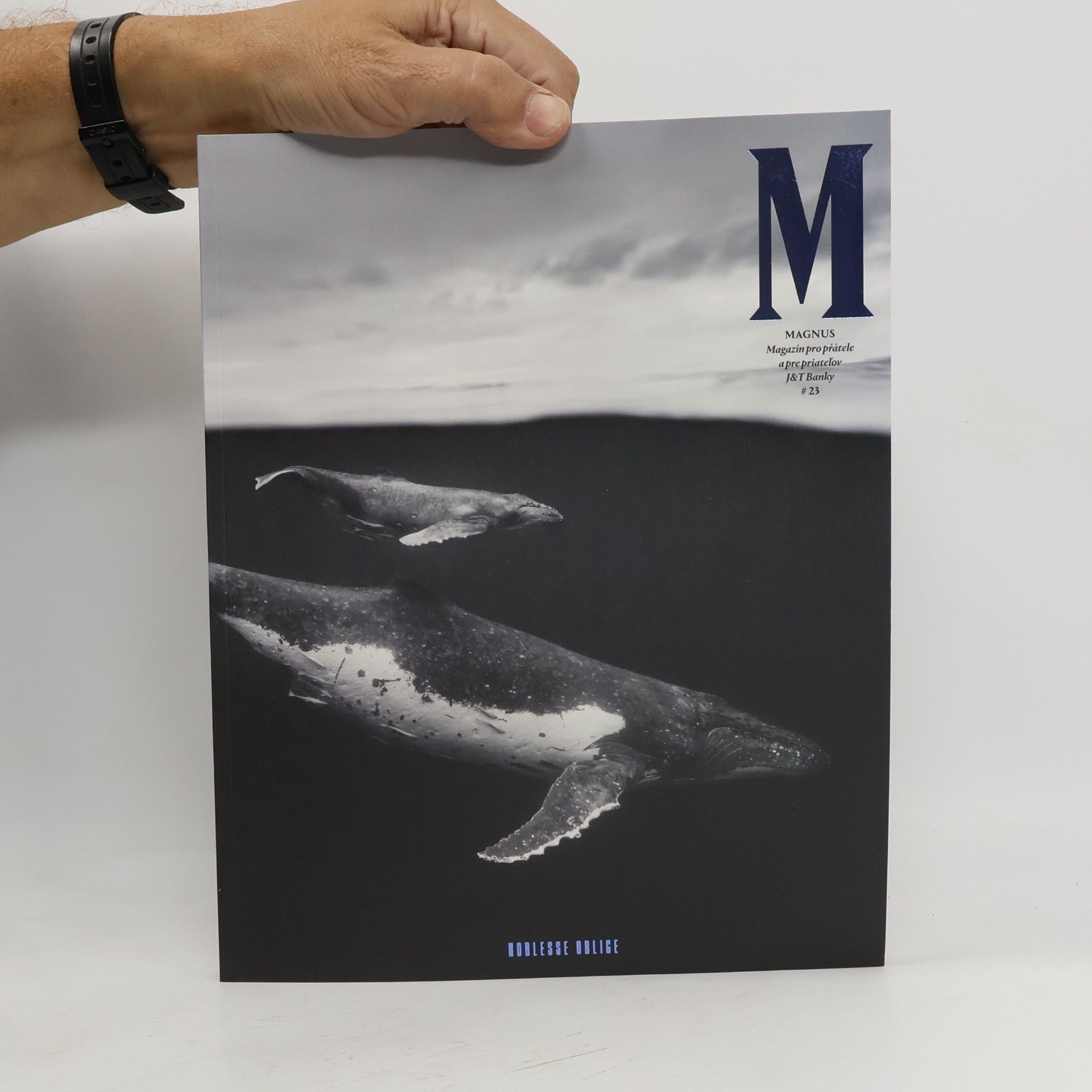 Autorenkollektiv Magnus #23