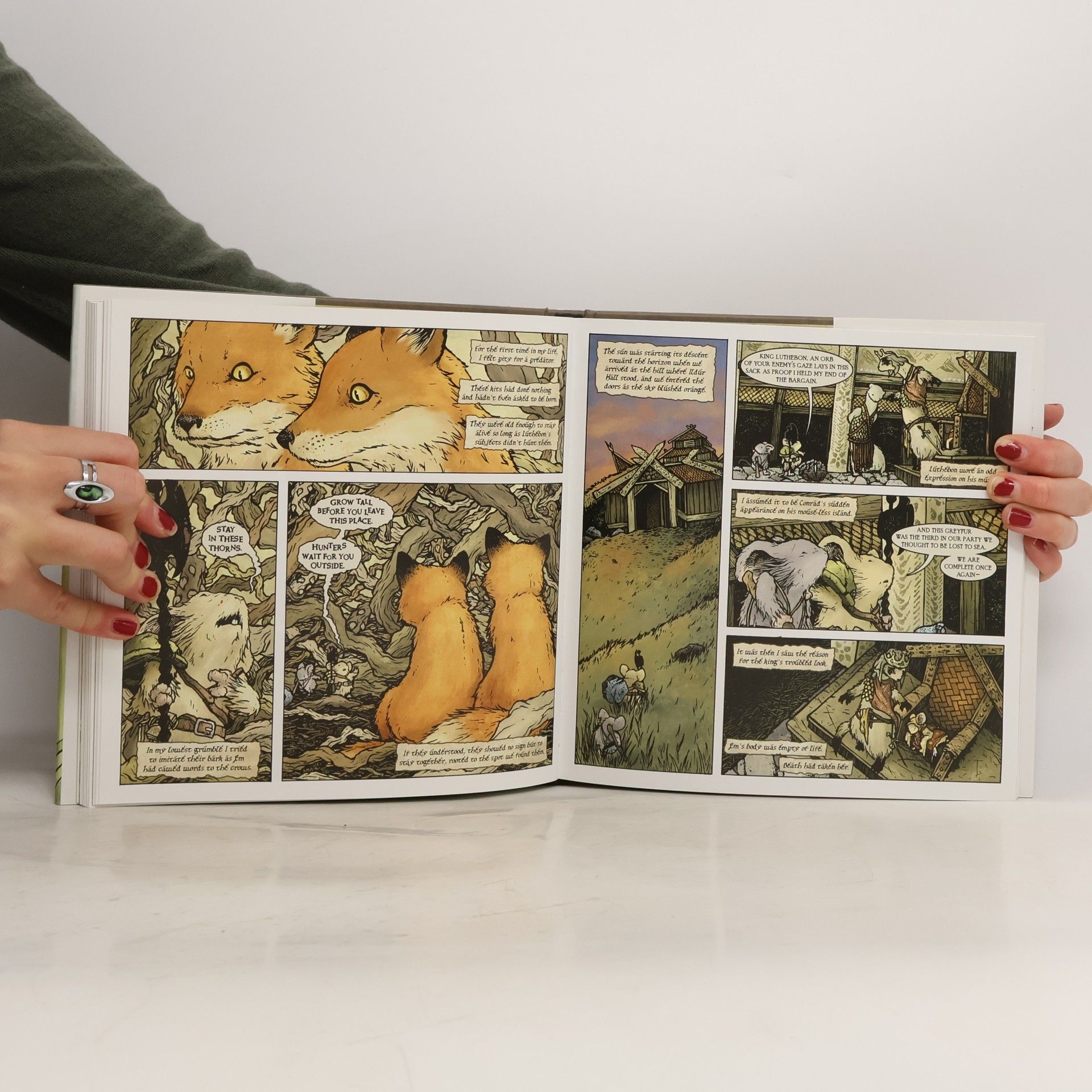 Petersen David Mouse Guard
