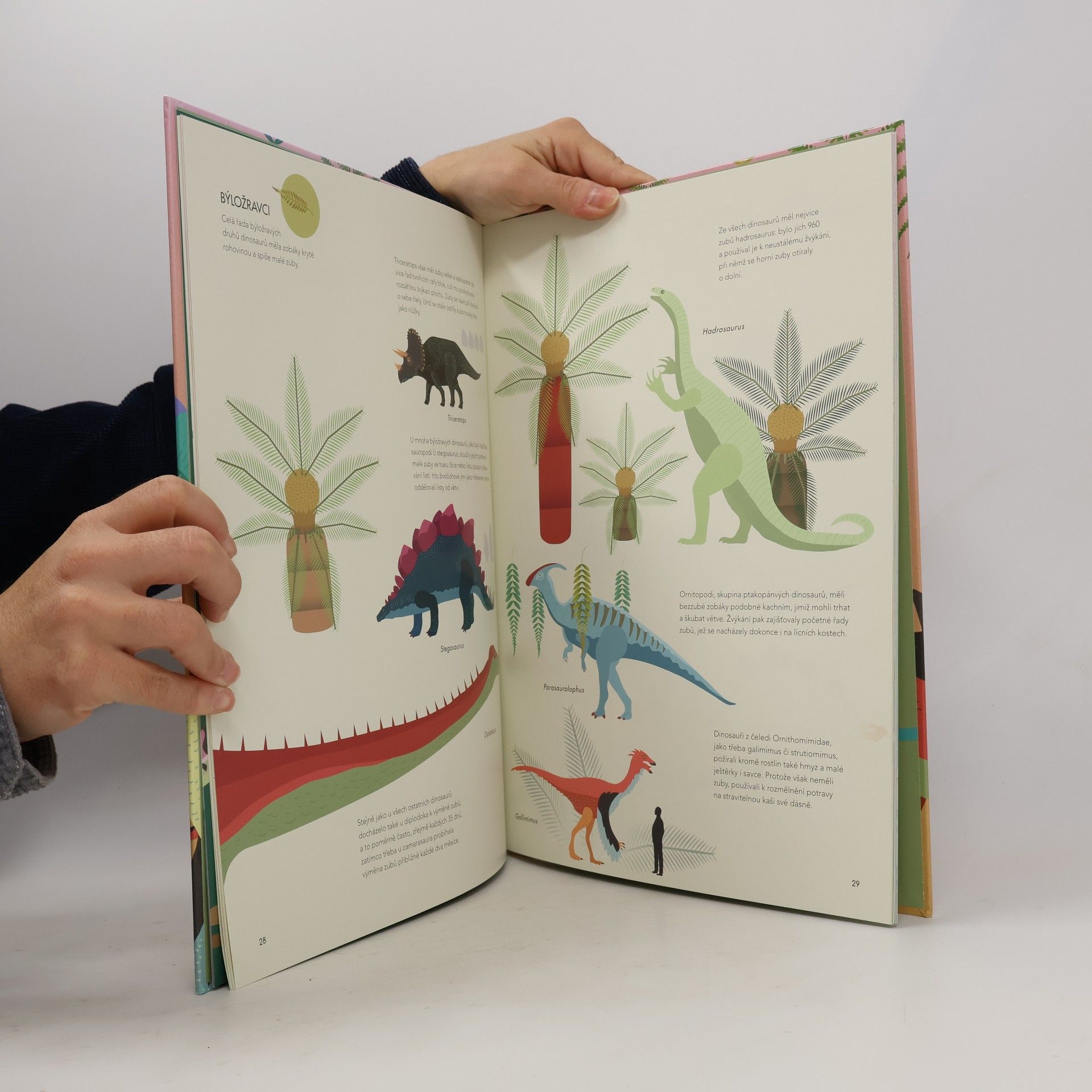Cristina M. Banfi Objevujeme dinosaury