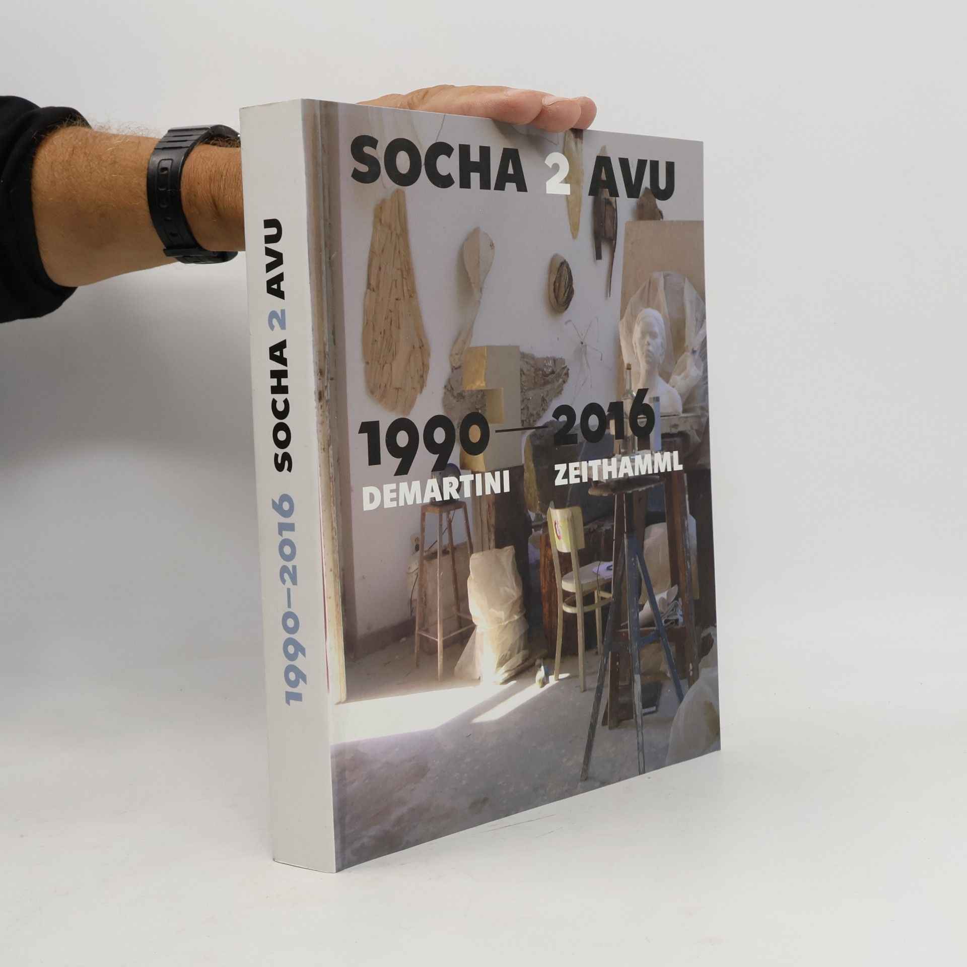 Socha 2 AVU 1990-2016: Demartini, Zeithamml