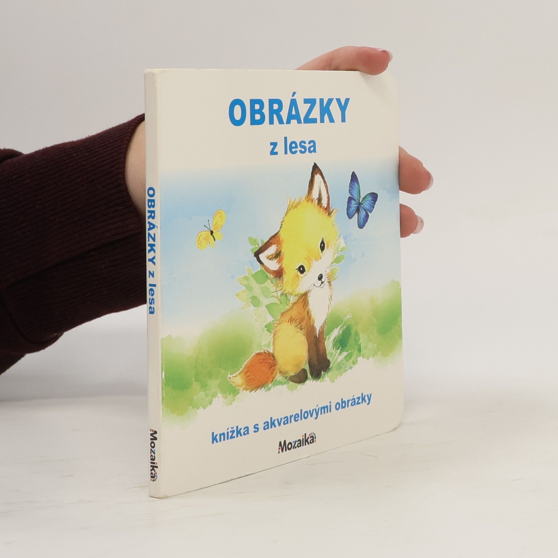 Kolektiv autorů Obrázky z lesa