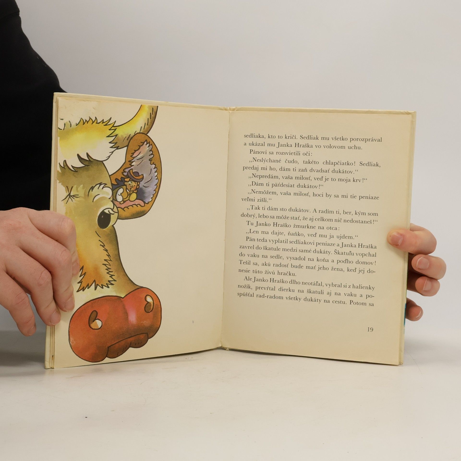Autorenkollektiv Janko hraško