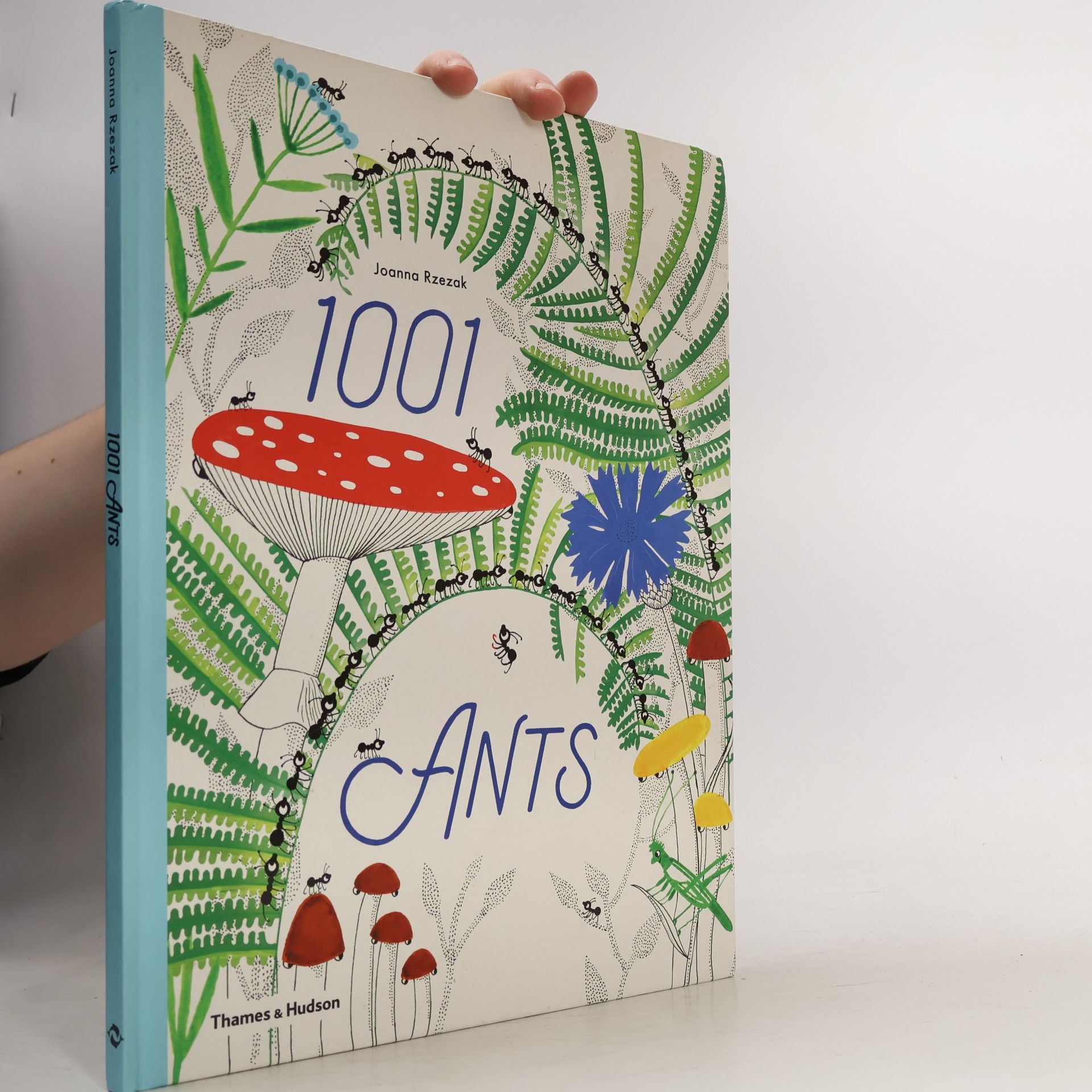 Joanna Rzezak 1001 Ants