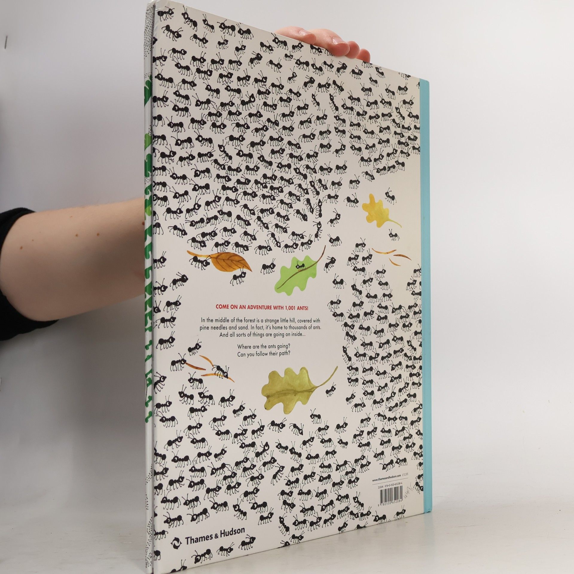 Joanna Rzezak 1001 Ants