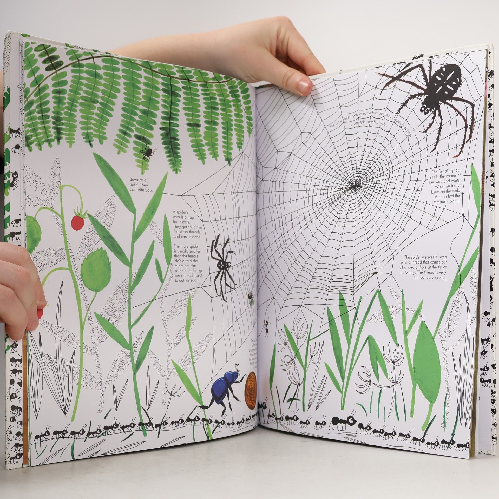 Joanna Rzezak 1001 Ants