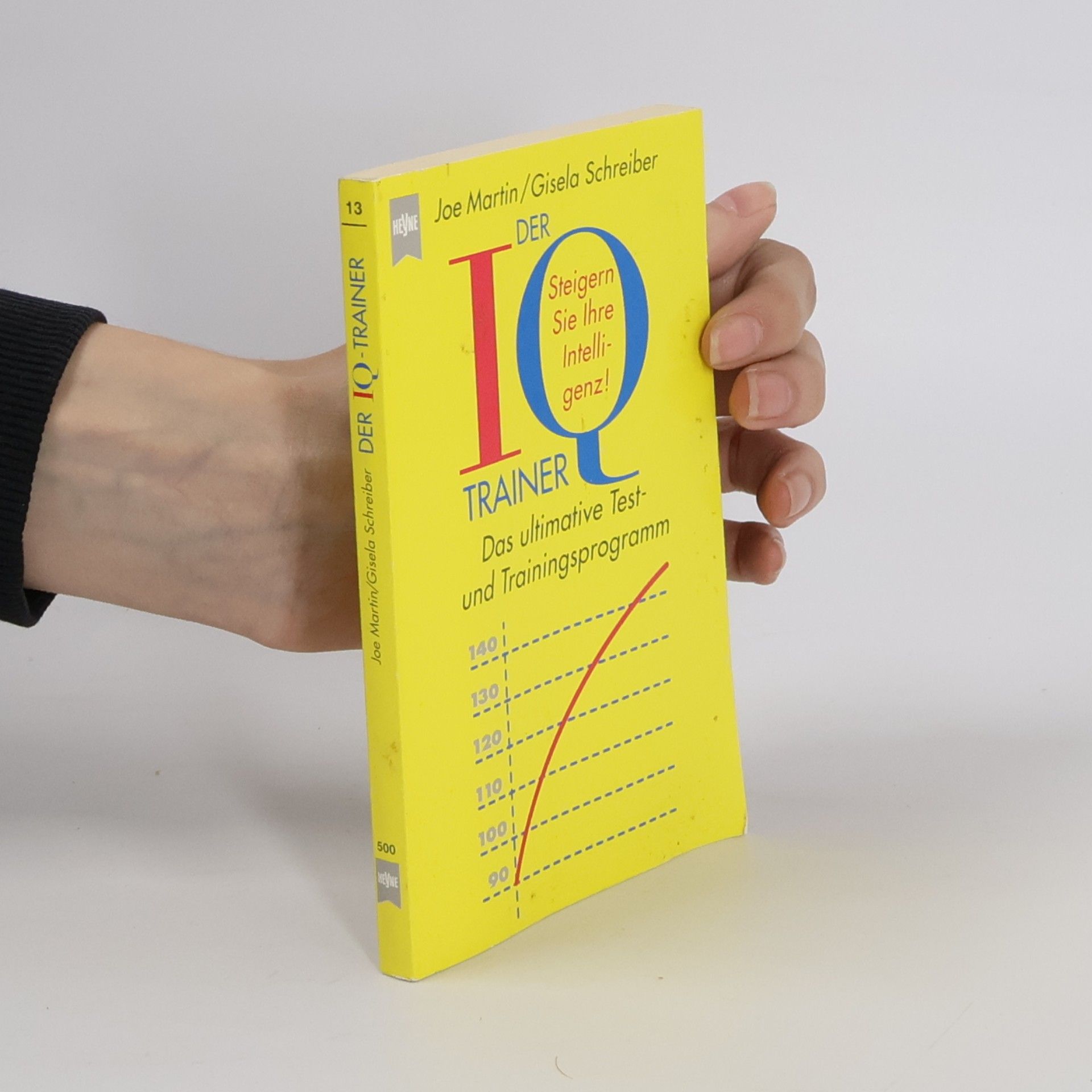 Der IQ-Trainer